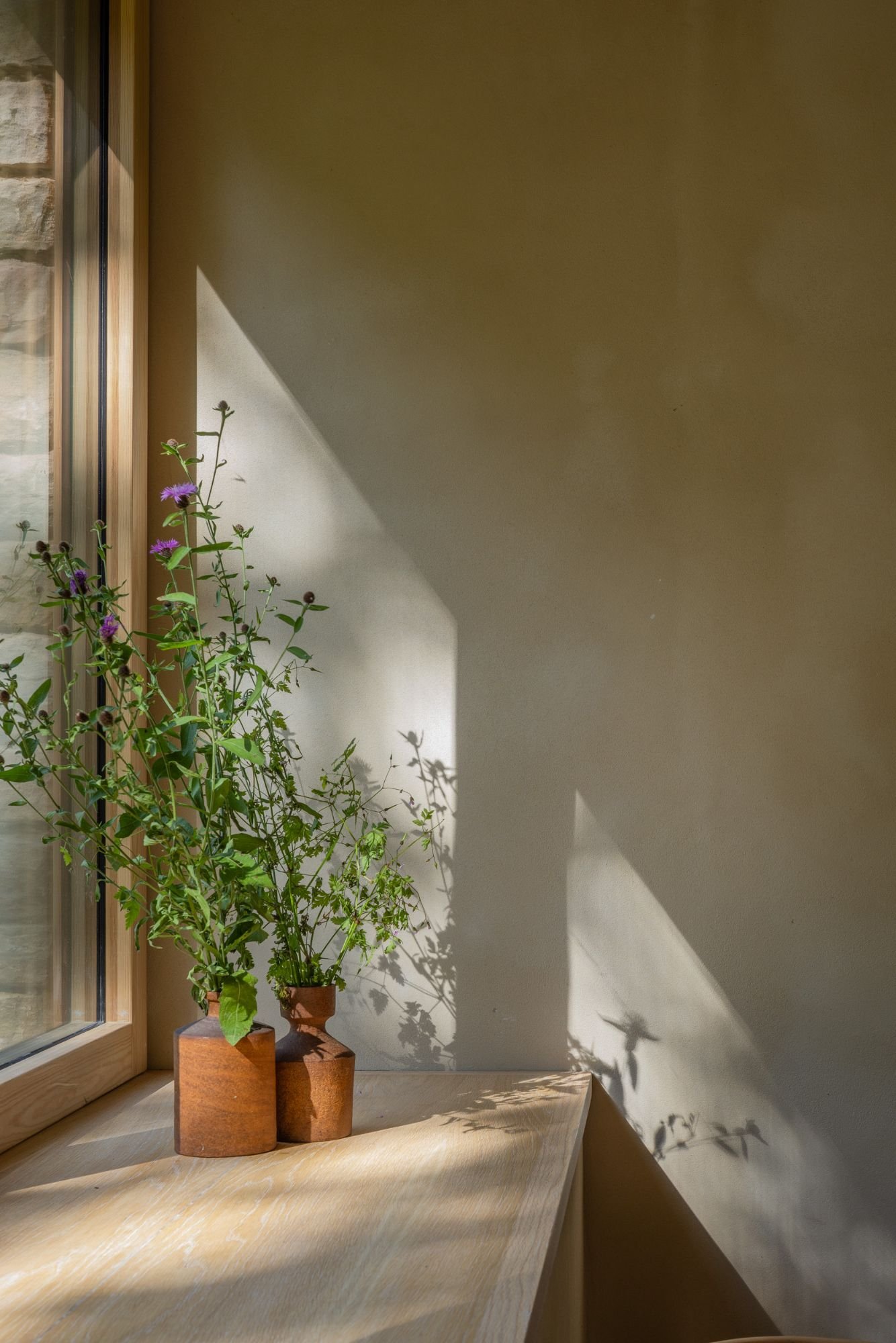 Dos jarrones de madera con plantas verdes en una repisa de madera junto a una ventana, con luz natural y sombras en la pared.
