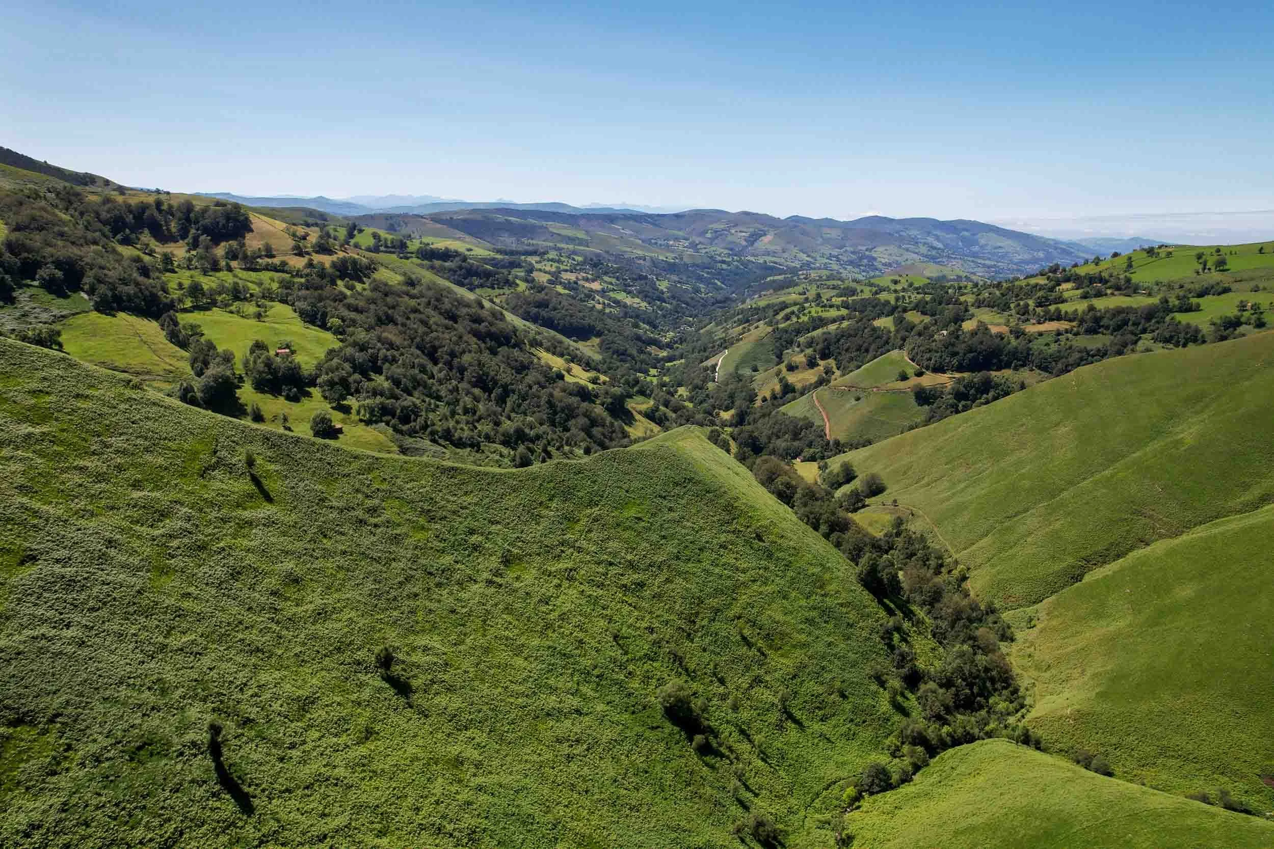 Paisaje de colinas verdes con vegetación y senderos en un día soleado.