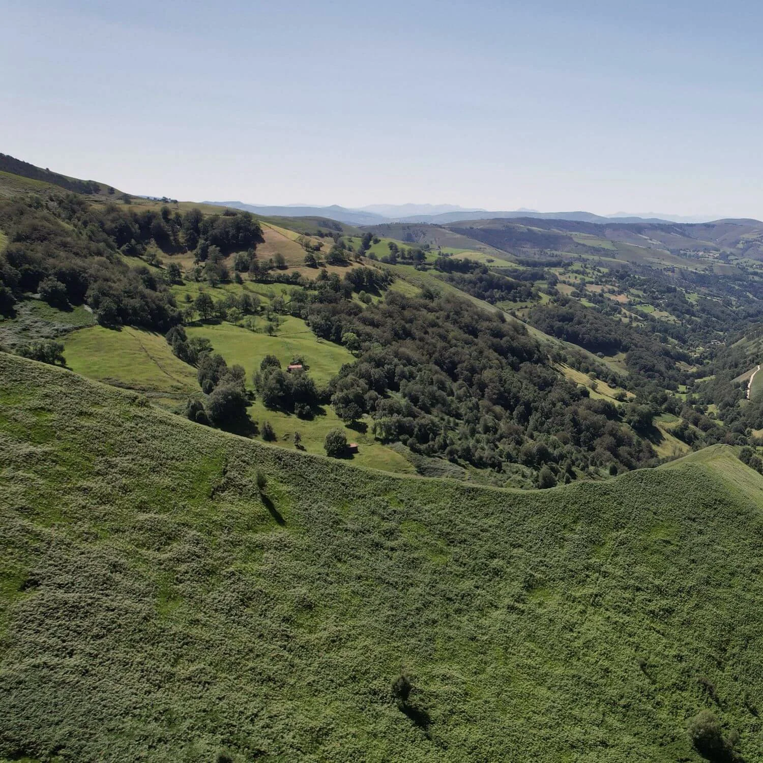 Vista panorámica de colinas verdes con árboles dispersos y casas pequeñas en un paisaje rural bajo un cielo despejado.