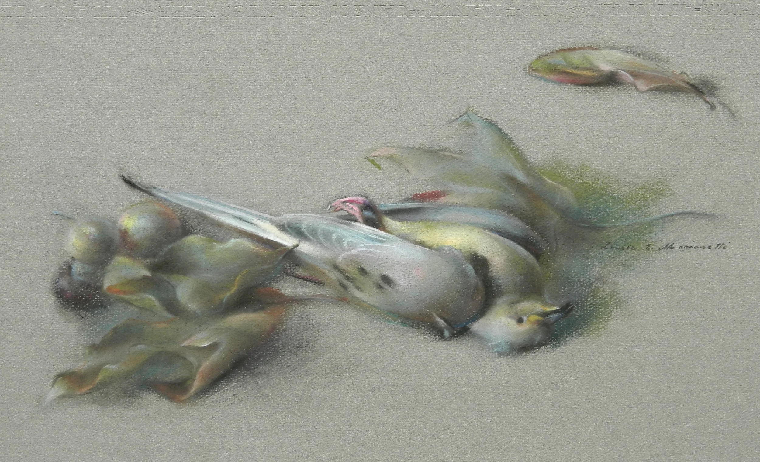 PASTEL: BIRD STUDY
Unframed $200.