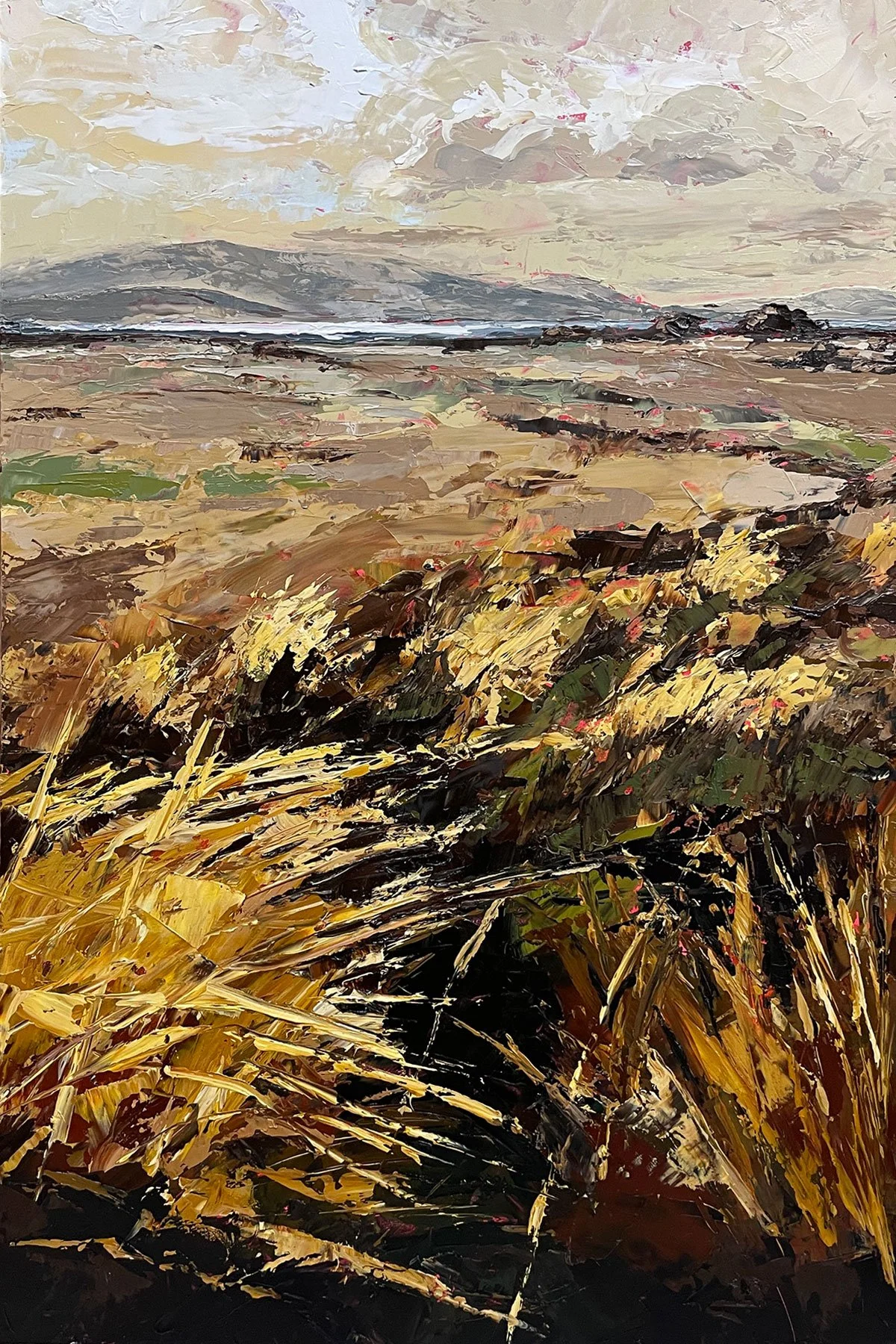 Cape Barren Island from Preservation No. 1