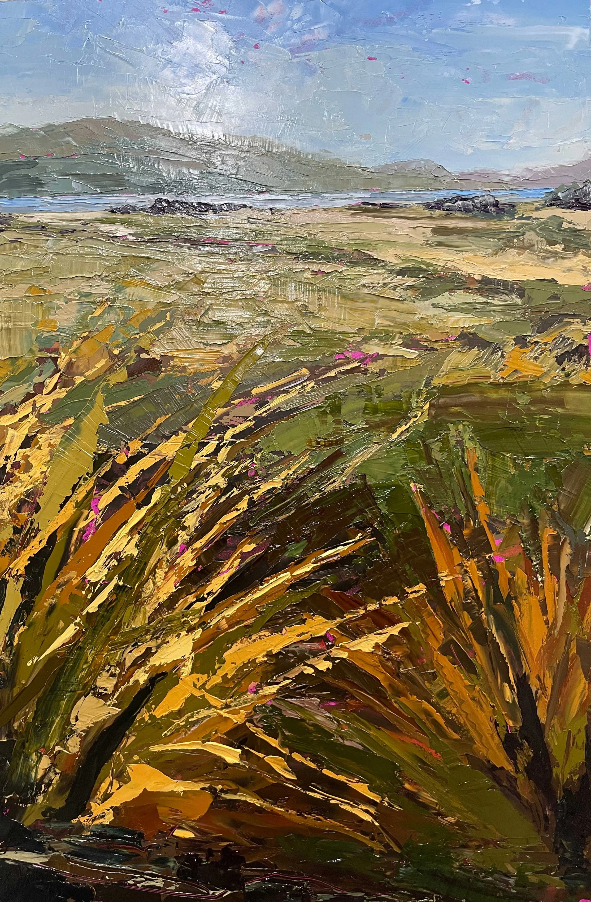 Cape Barren Island from Preservation No. 2