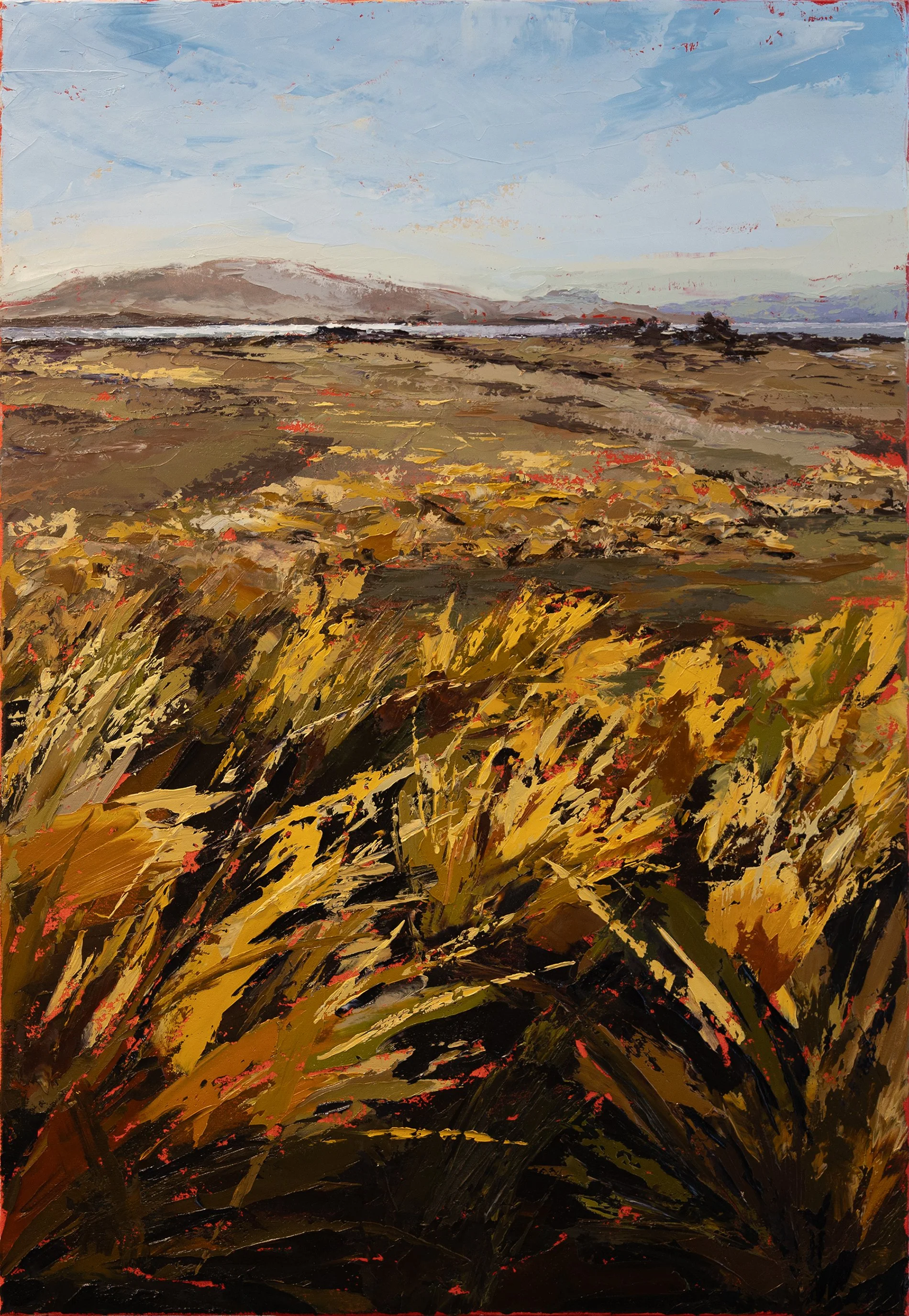 Cape Barren Island from Preservation No. 3