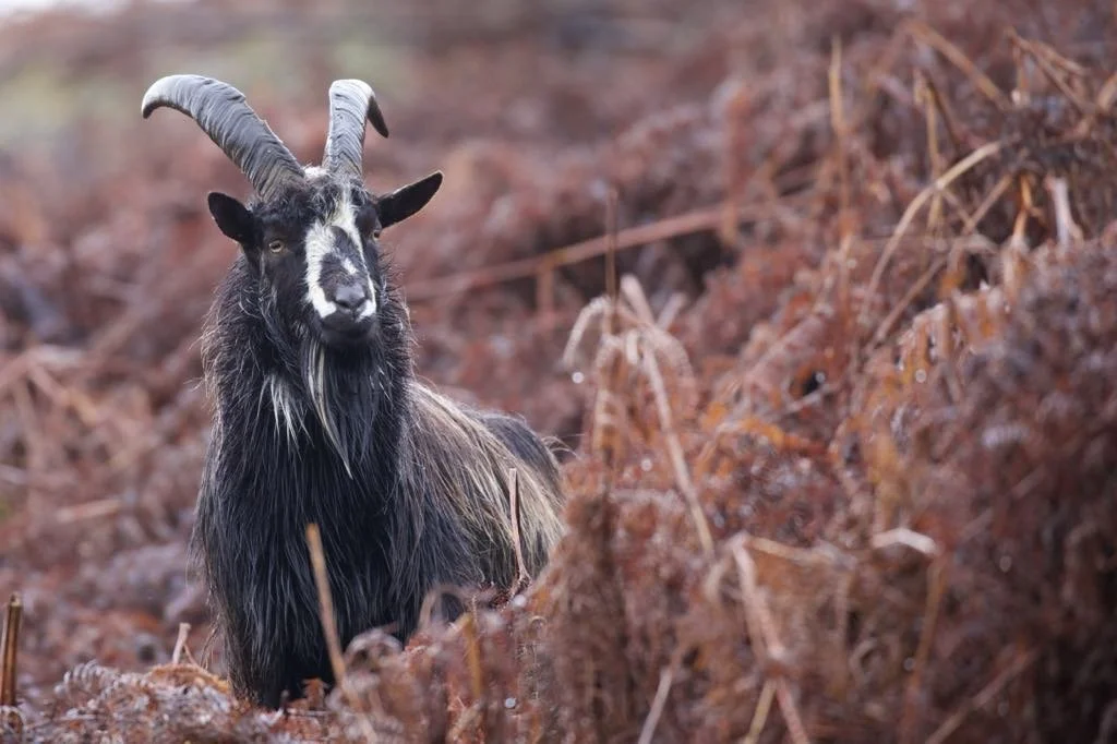 Photograph by Nicola Hood