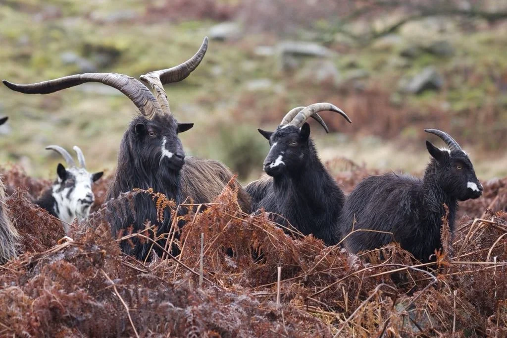 Photograph by Nicola Hood