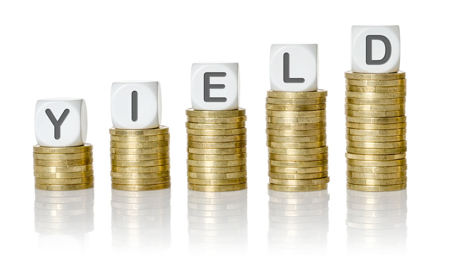 Rental Yield: A Guide for Property Investors 