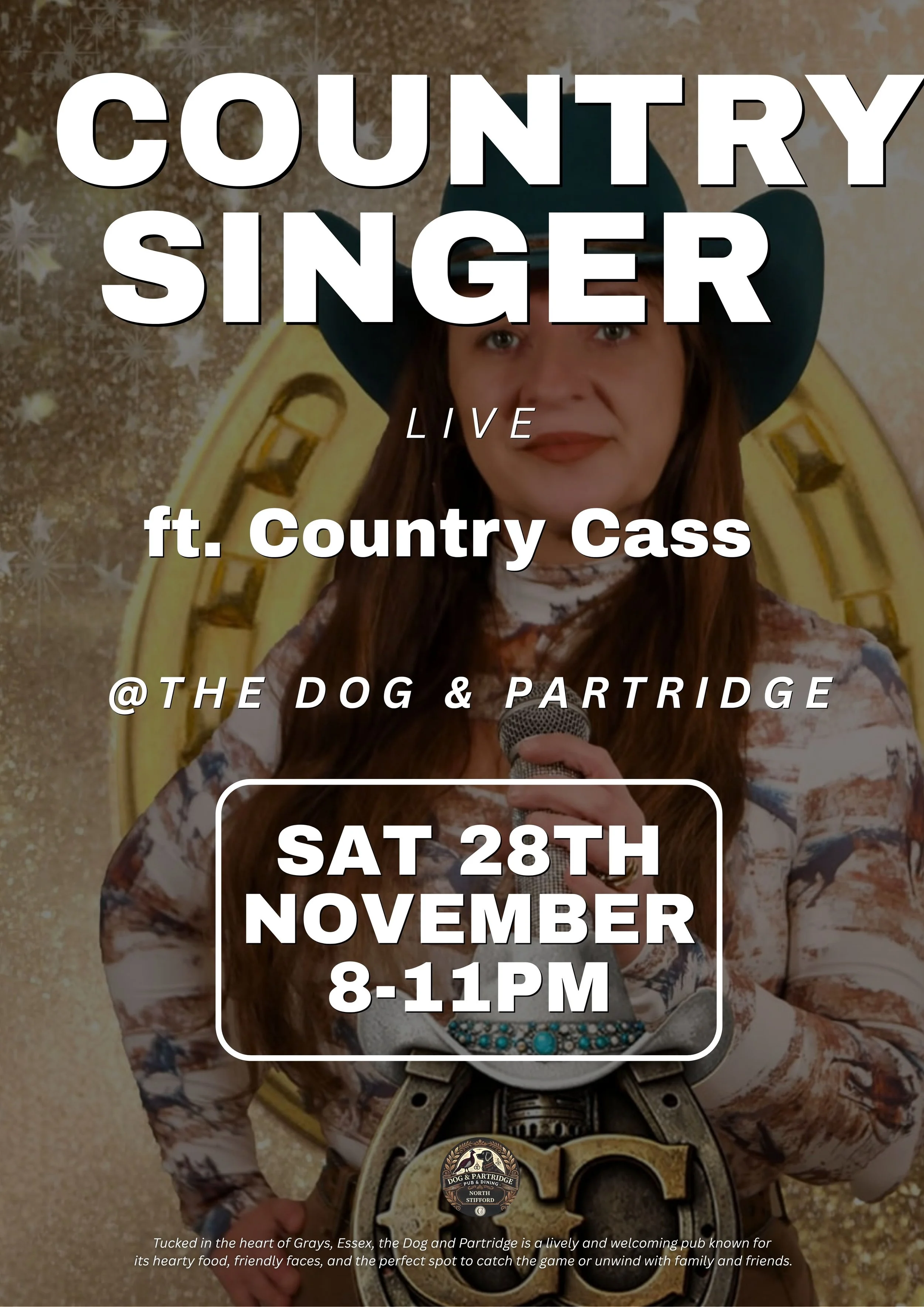 Sat 28th noc - country singer.jpg