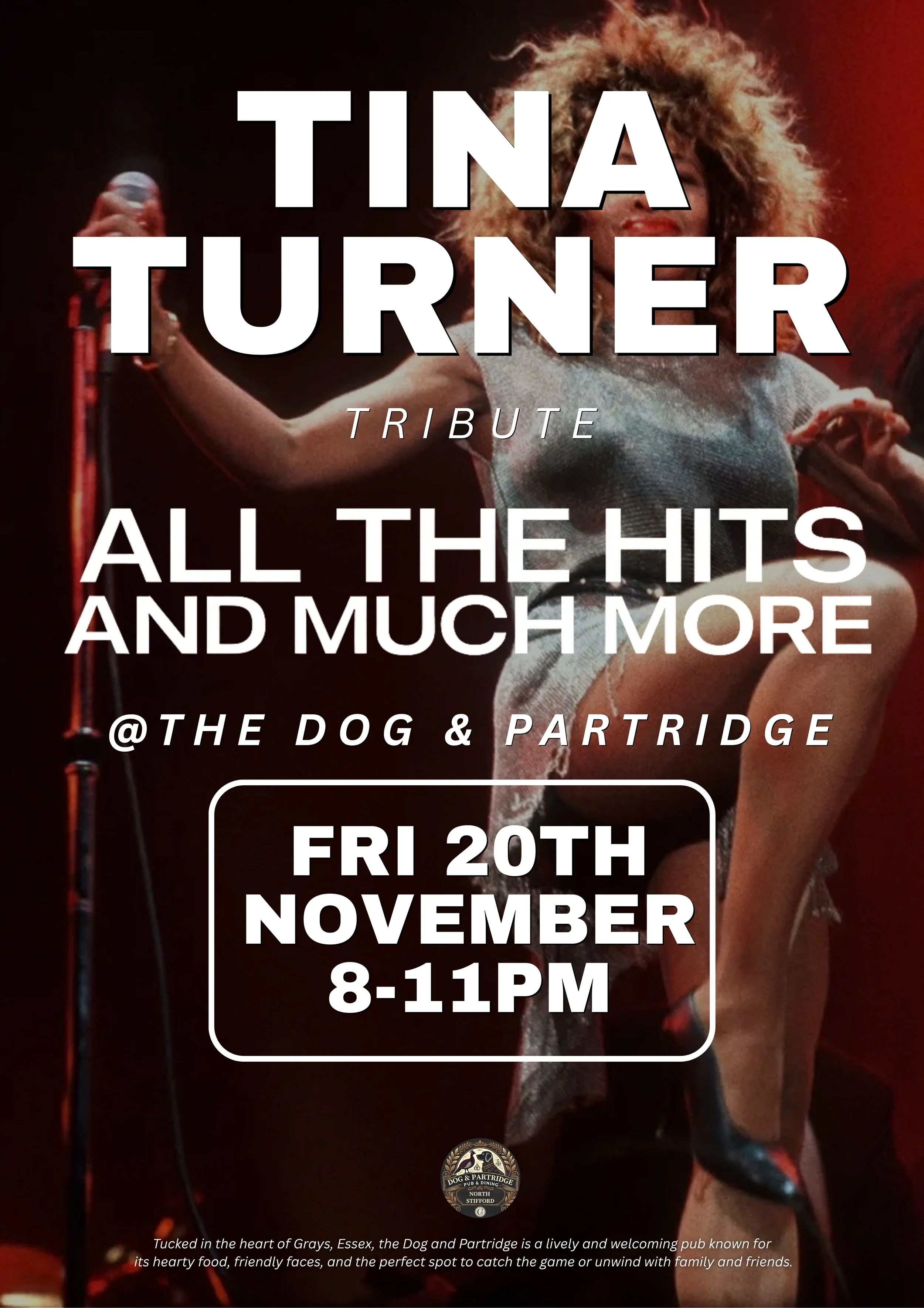 fri 20th nov - tina turner.jpg