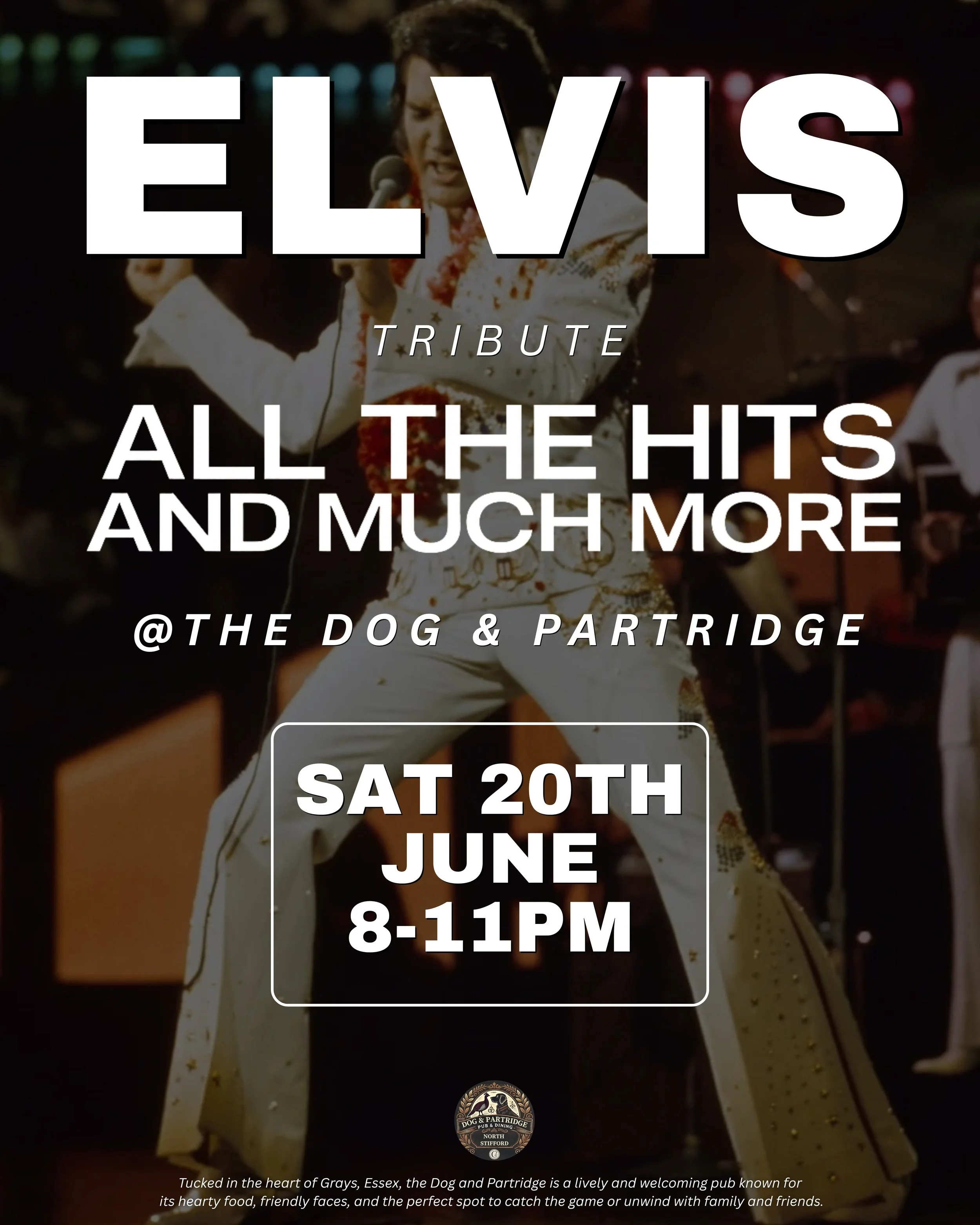 Elvis - sat 20th June-2.jpg
