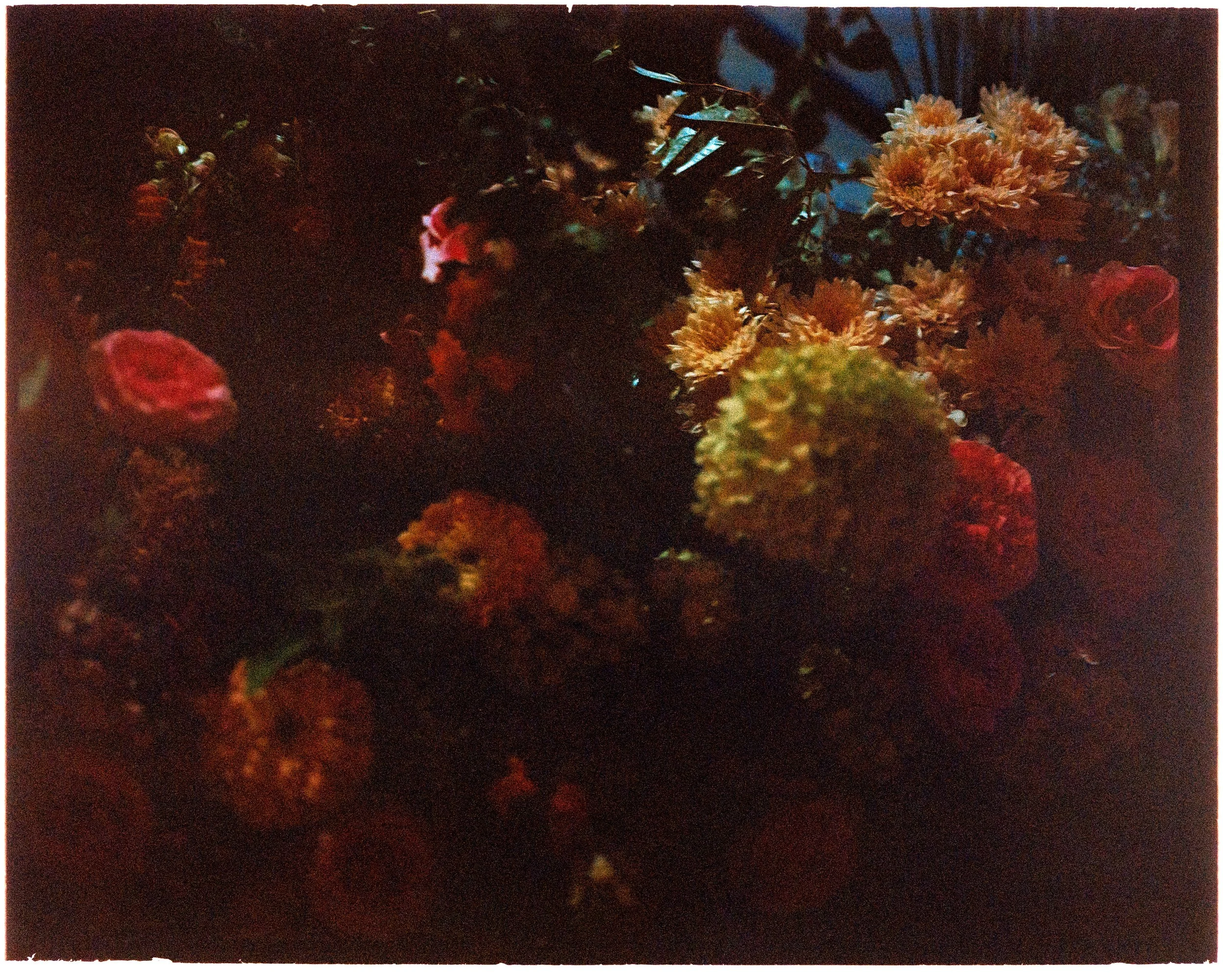Evening details of florals: hydrangeas, roses, zinnias and other unidentifiable flowers are displayed.