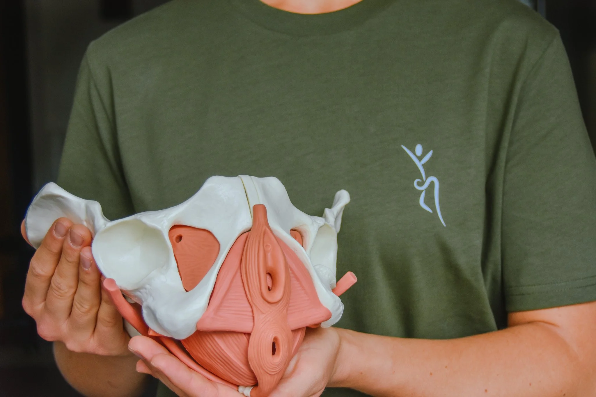 Pünktlich zu Ostern: Auf der Suche nach dem Beckenboden