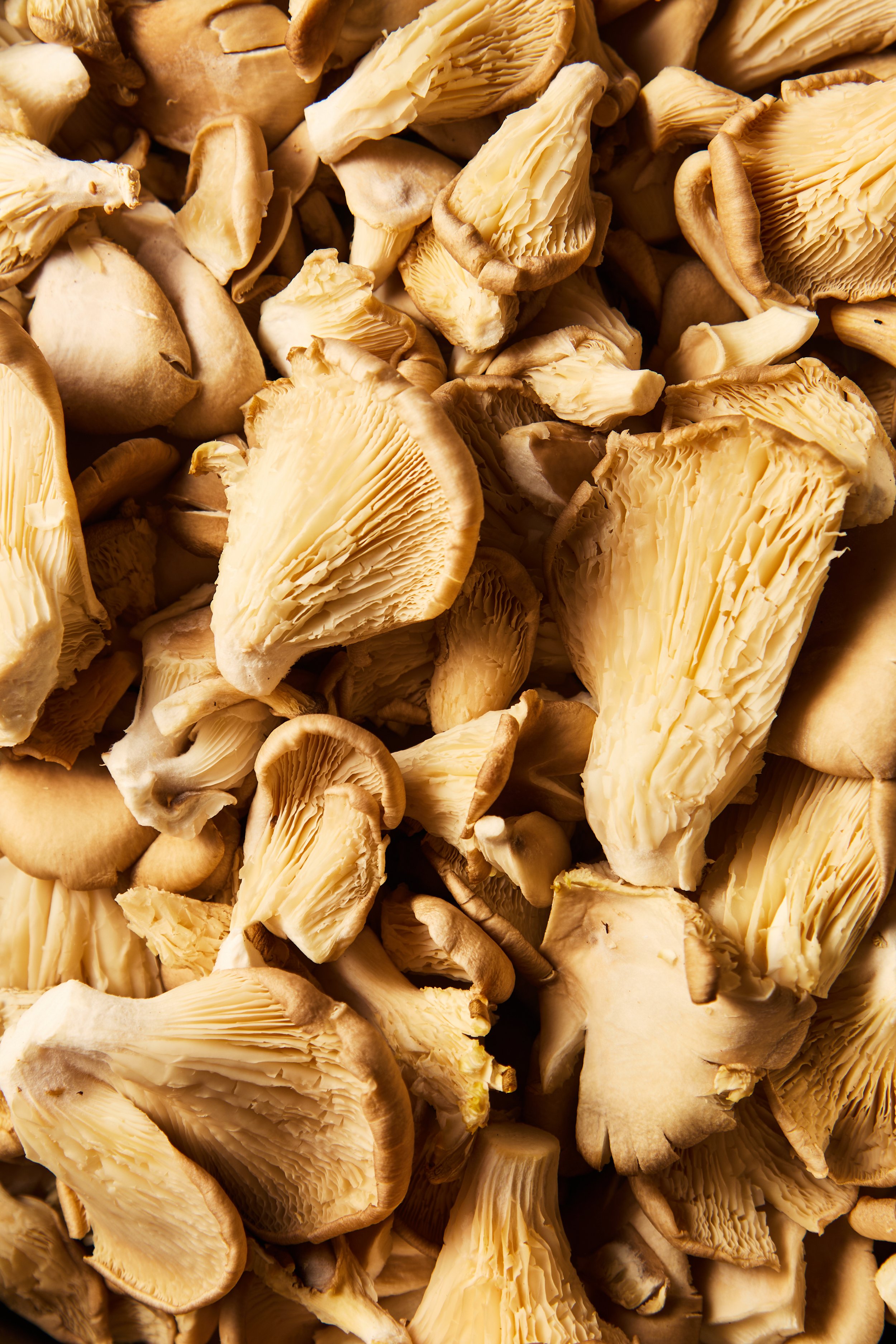 A close-up view of a pile of fresh oyster mushrooms with beige caps and gills.