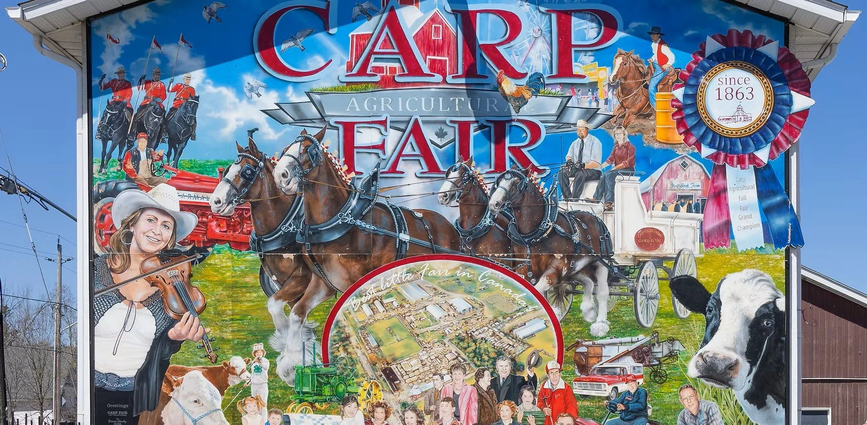 Carp - Fair 2026