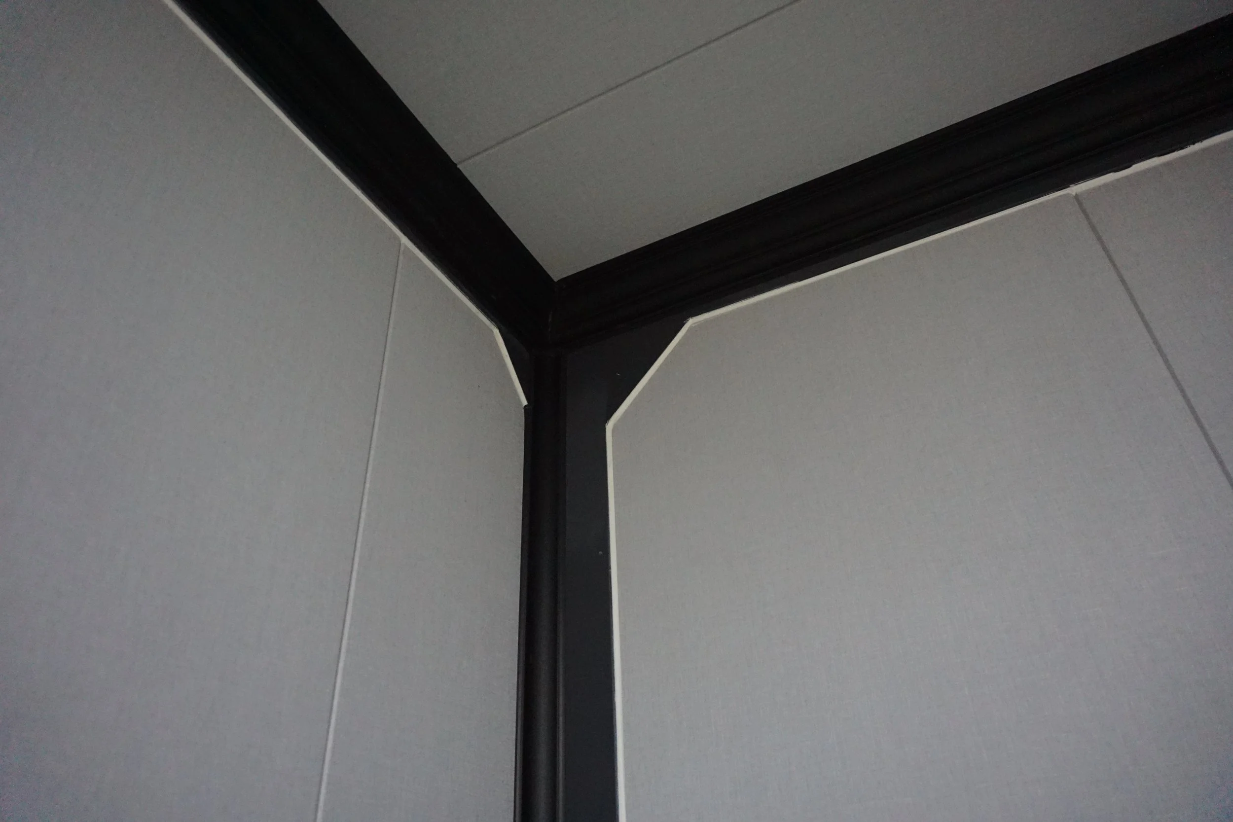 Inside corner of office ceiling with gray acoustic tiles and black crown molding.