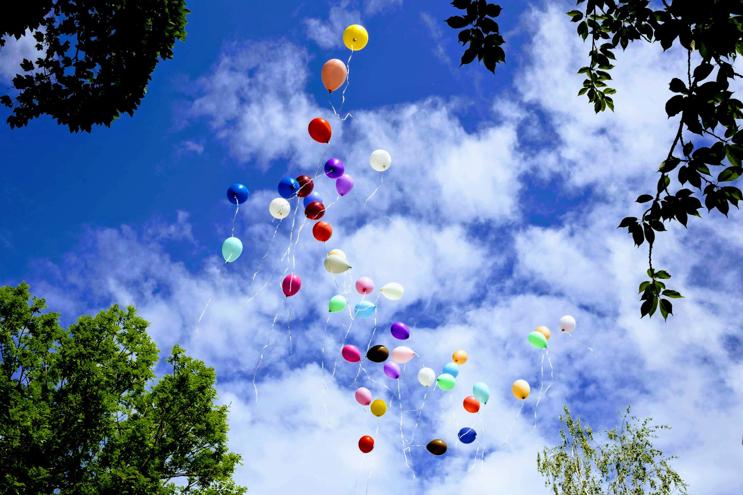 Colourful balloons floating into the sky, symbolising letting go of neurotypical expectations and embracing compassionate parenting for a child with ADHD and PDA.