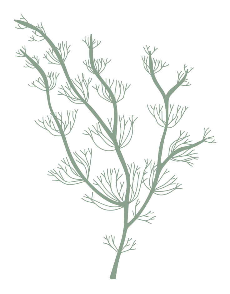 A graphic of a spindly algae-like plant in green.