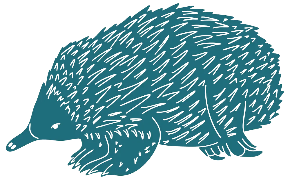 Illustration of a hedgehog.