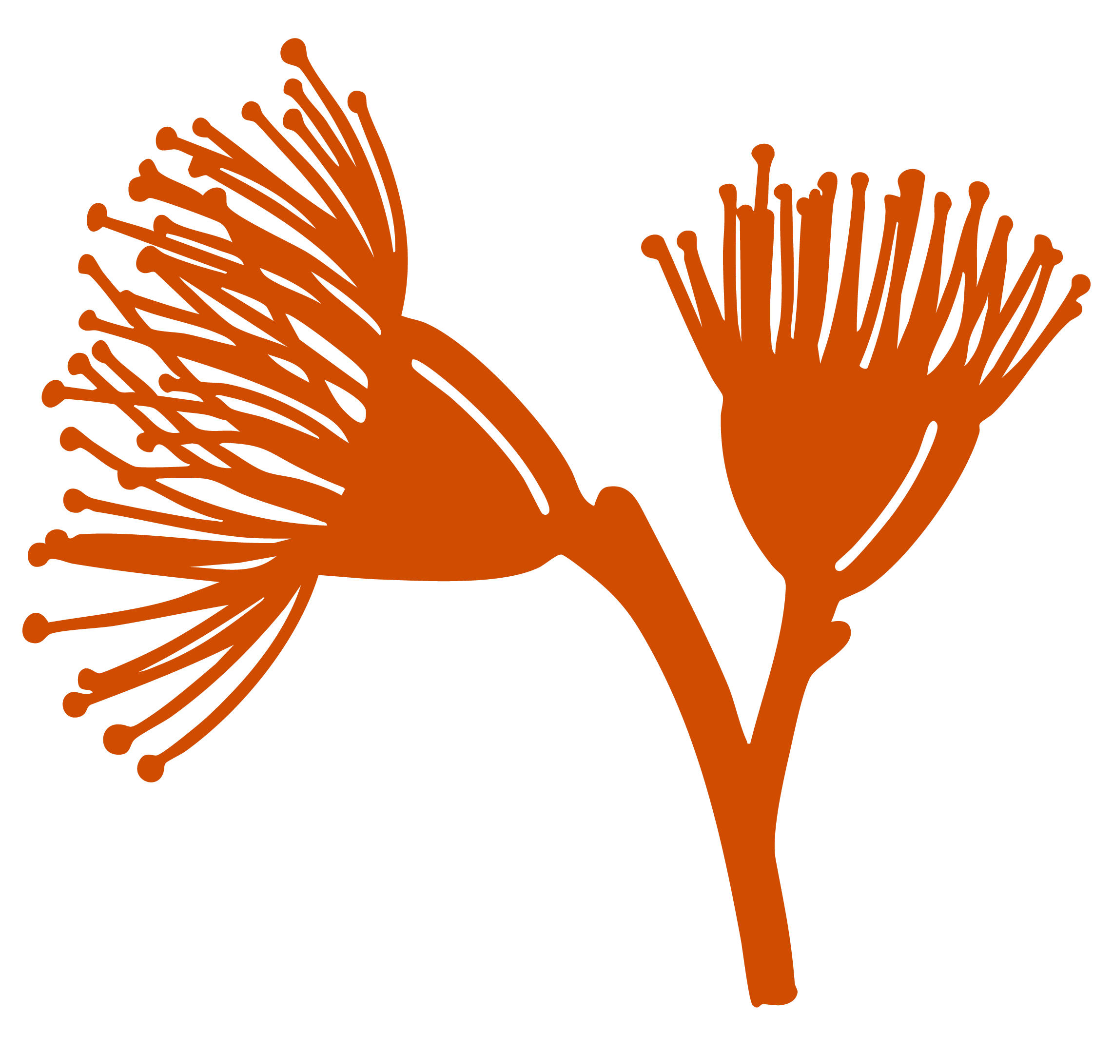 Illustration of a coral in a reddish-orange color on a black background