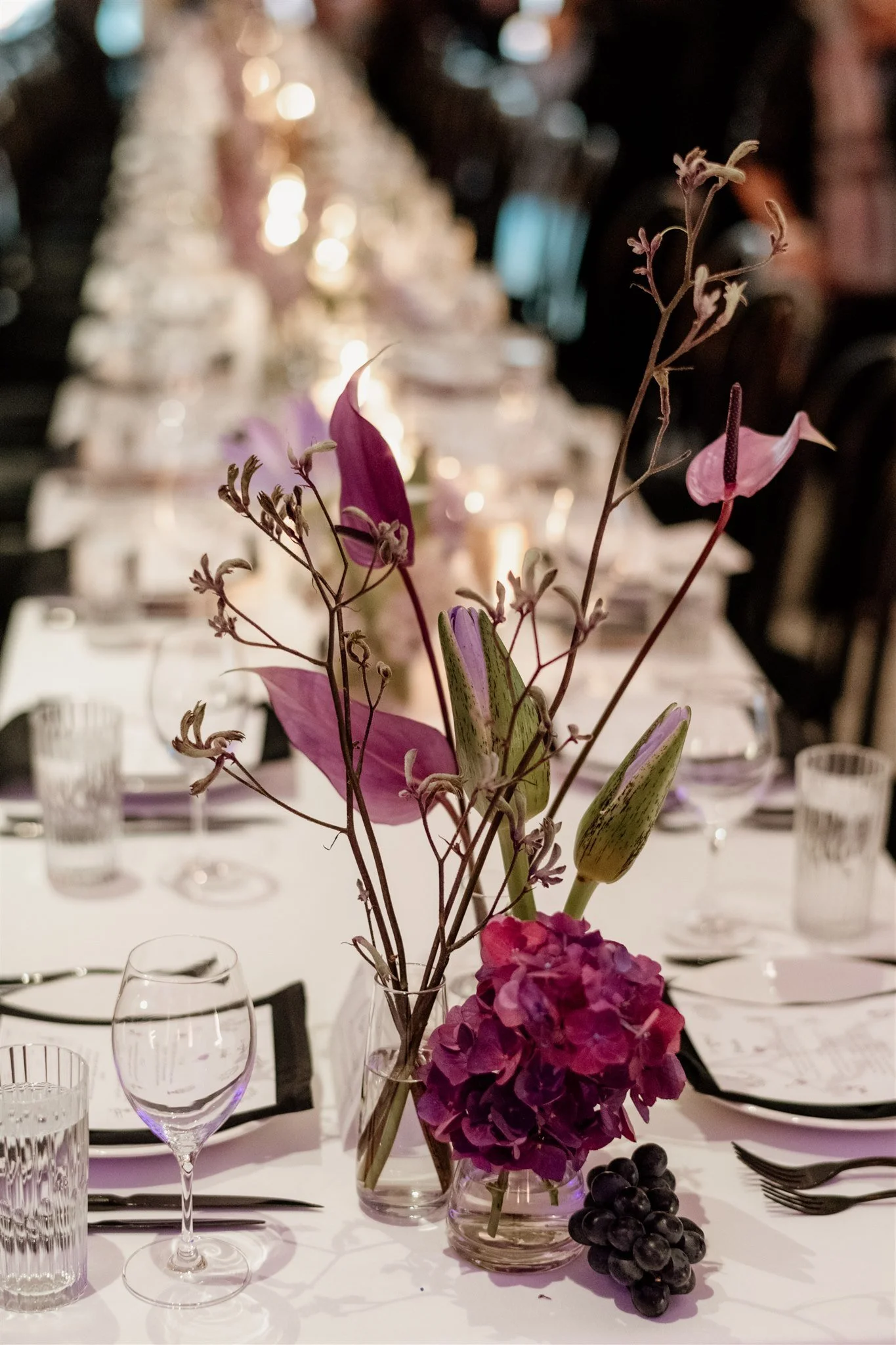 SomersetPat_Beta_KristieCarrickPhoto-592.jpg