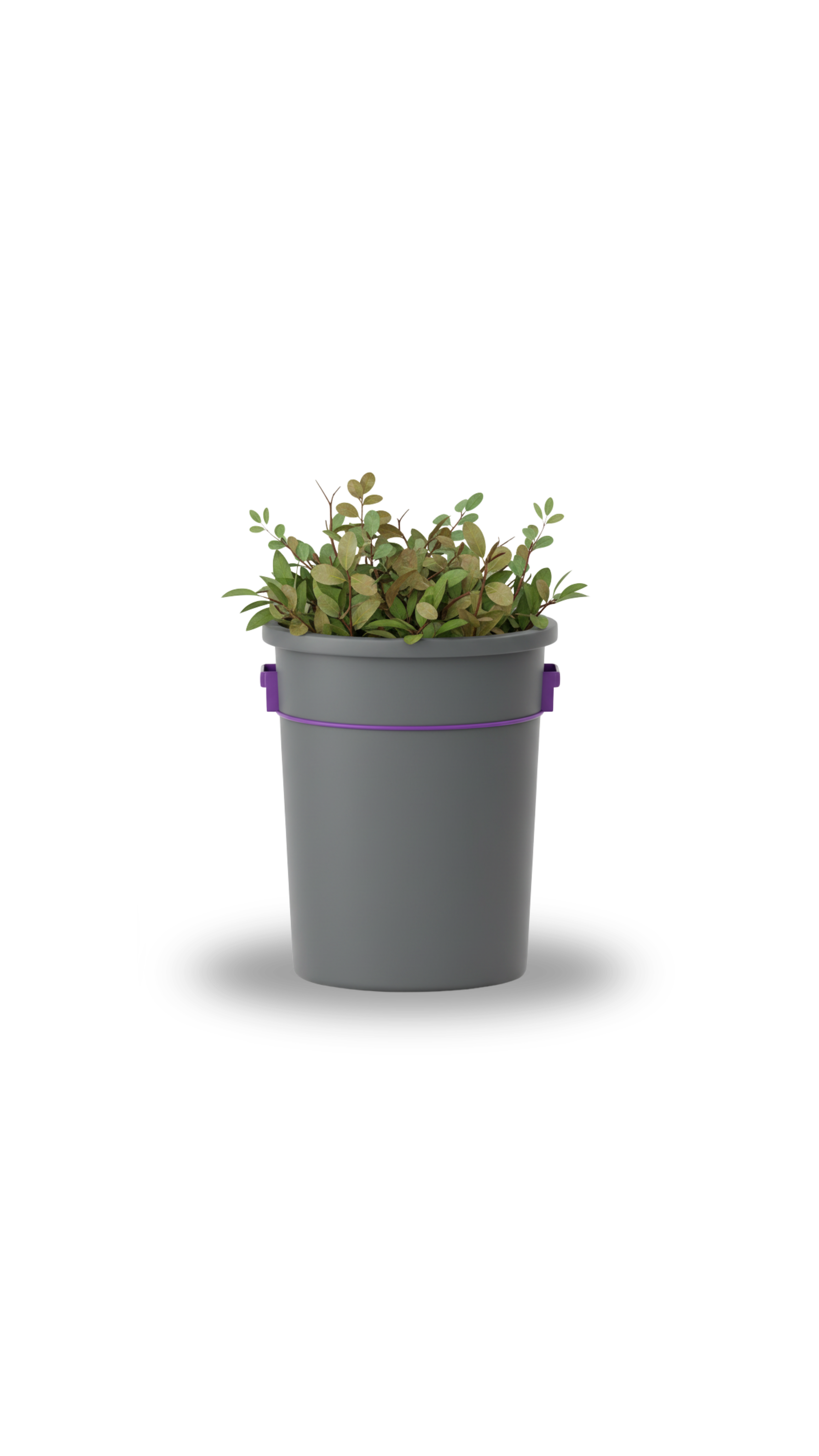Garden Cleaning and Waste Removal