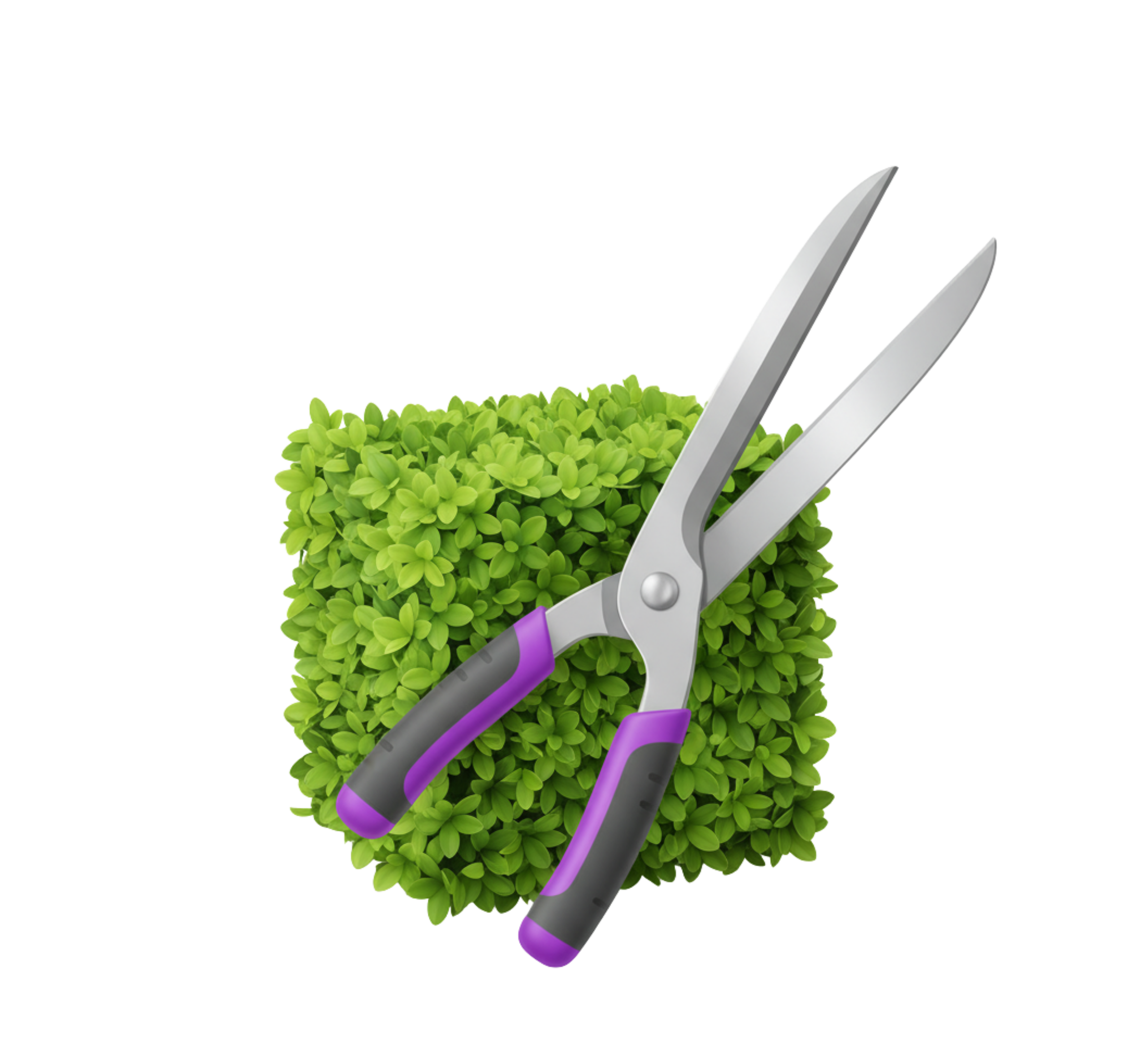 A pair of pruning shears resting on a small, well-trimmed green shrub.