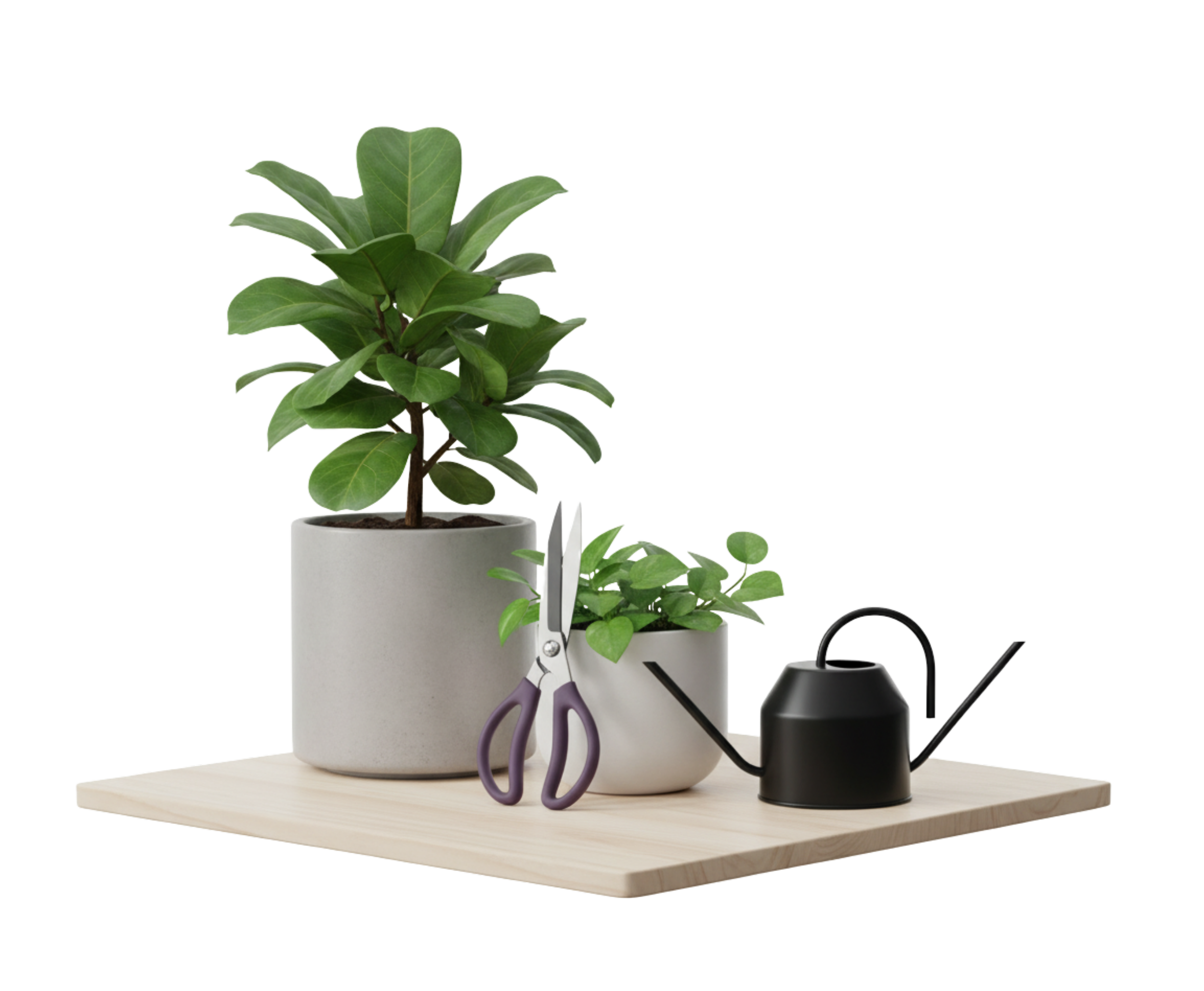 Trimming and plant care