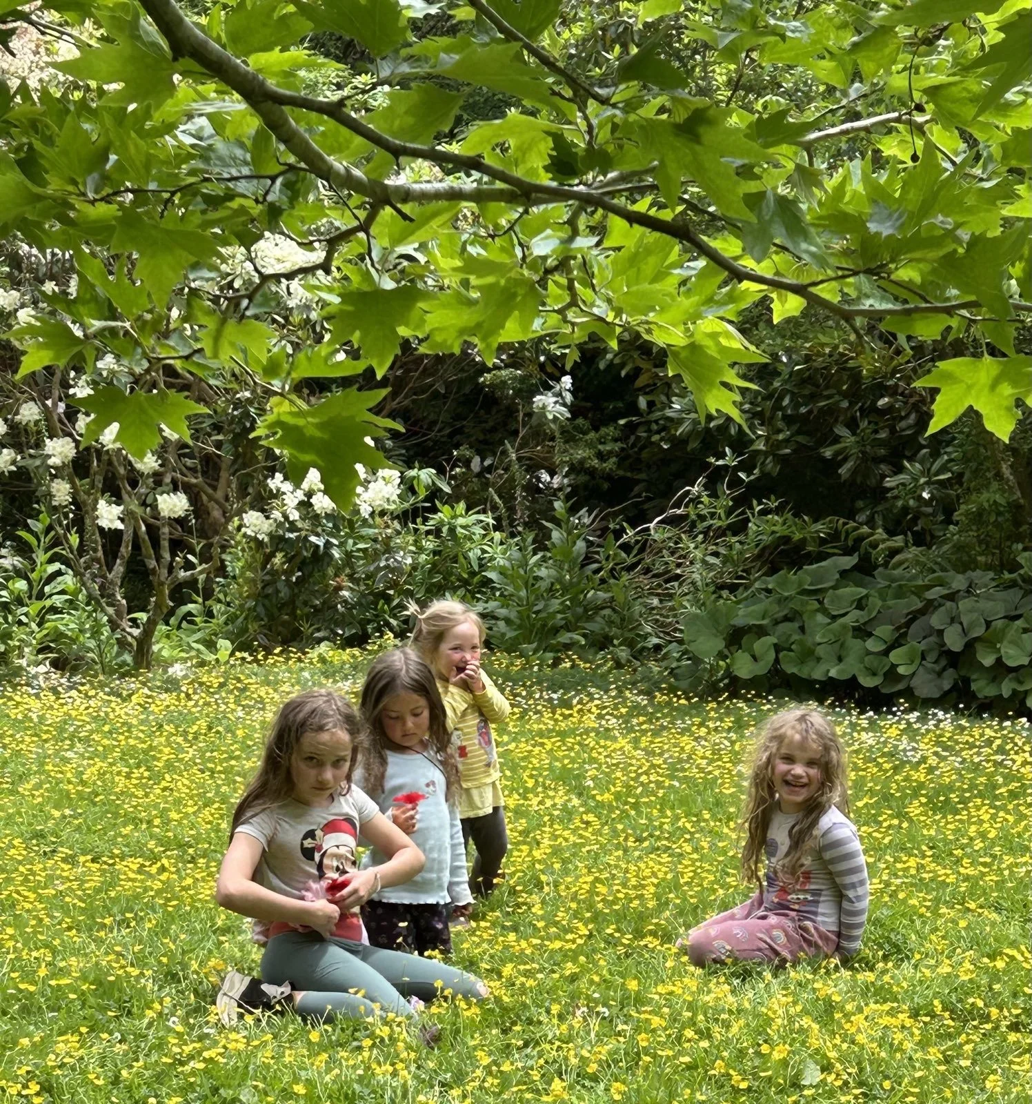Four young girls sitting and standing in a field of yellow flowers, surrounded by lush green trees and foliage, with broad green leaves overhead.