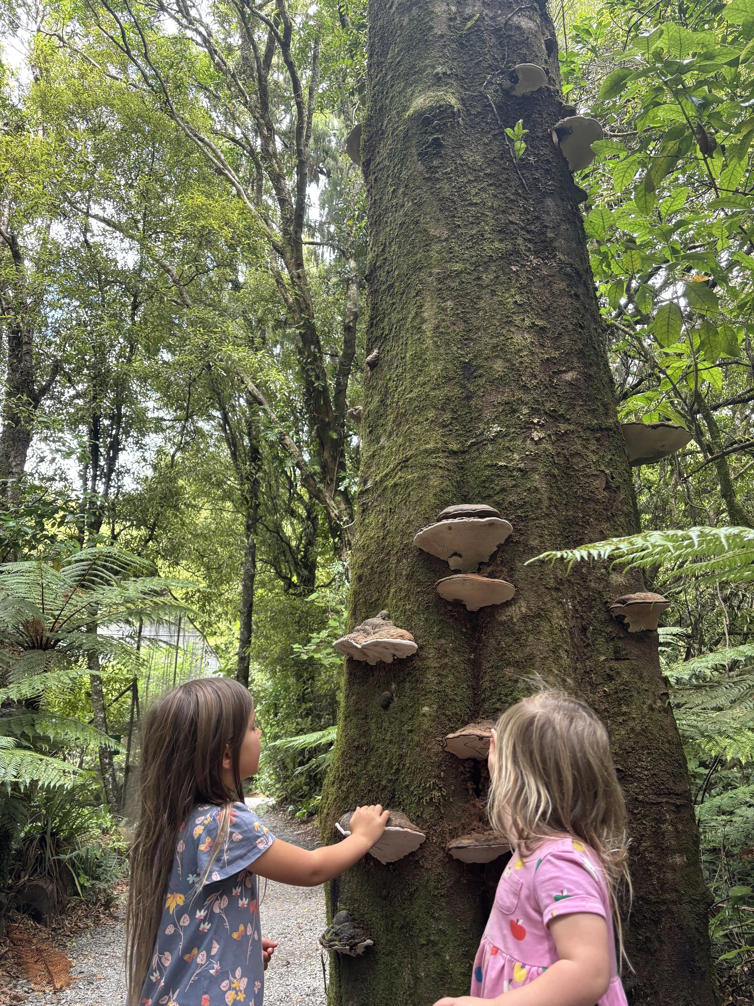 Are Humans Mature Enough for AI?