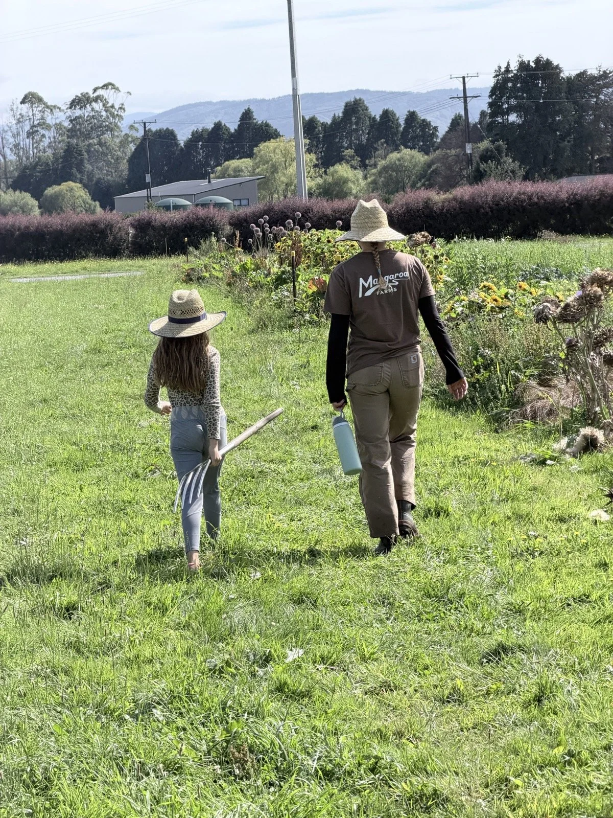 Place-Based Learning