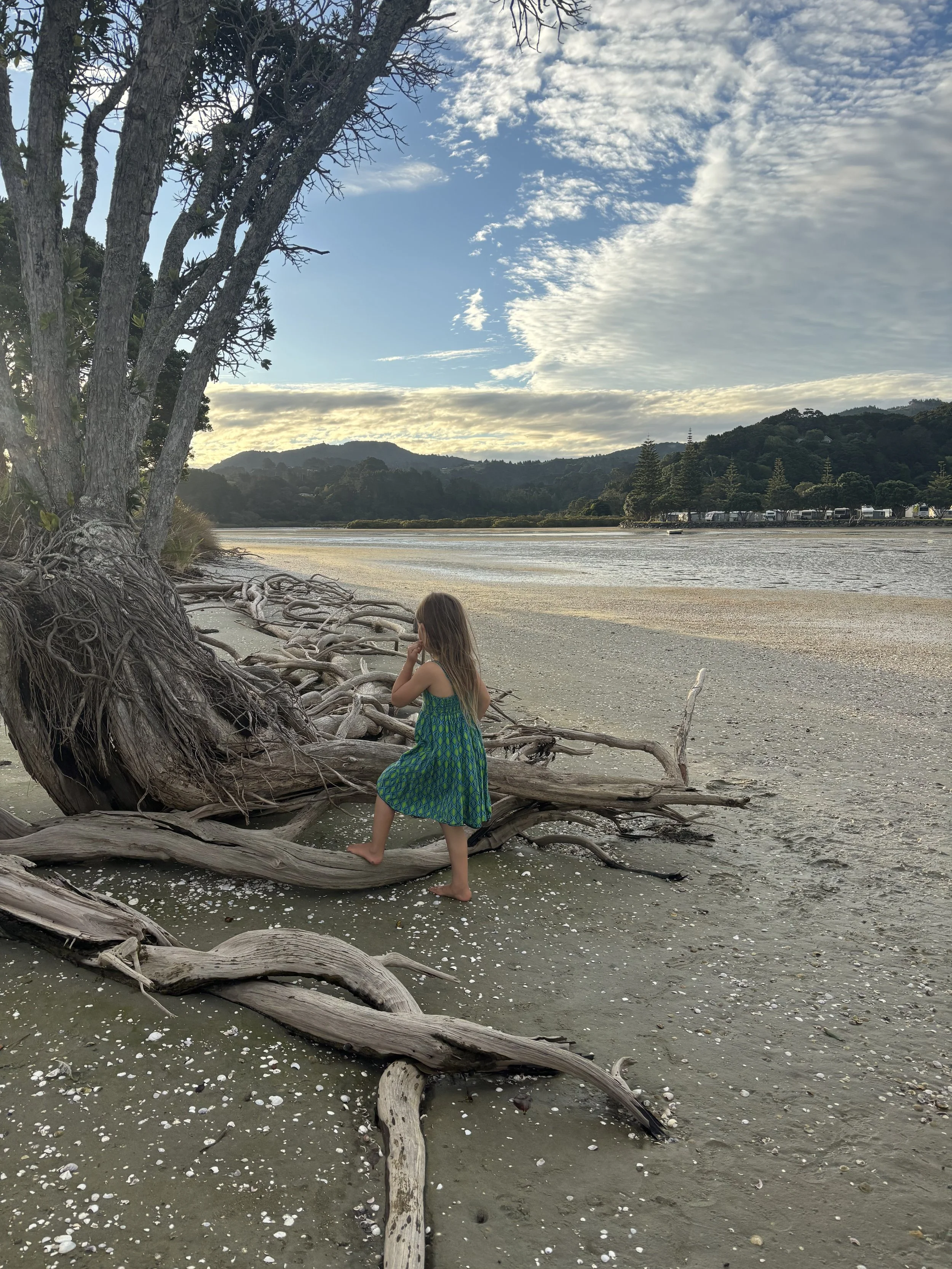 Is There a Boundless Life in New Zealand?