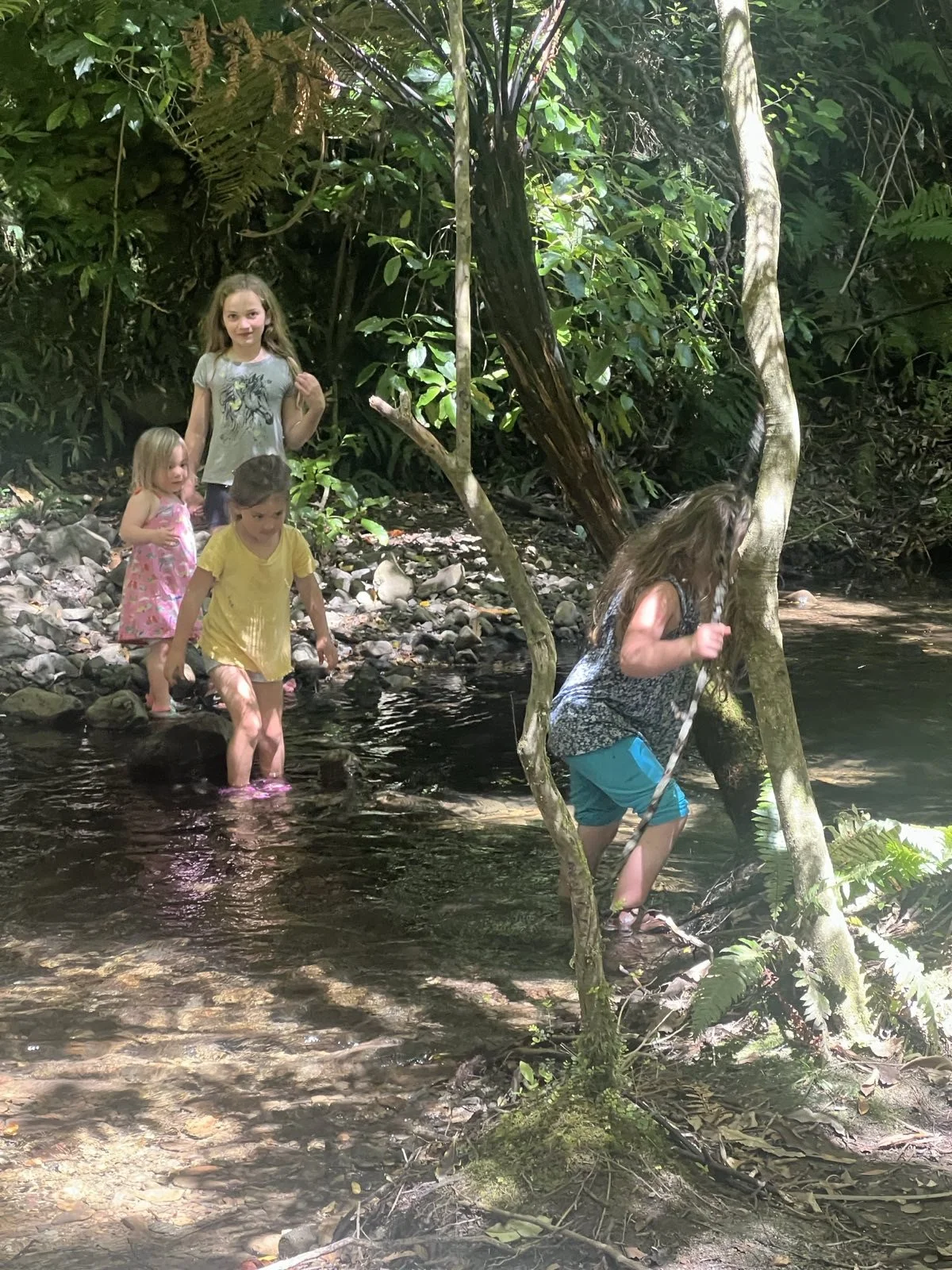 Four children playing in a shallow stream in a lush, green forest. One girl in a black and white shirt and blue shorts is stepping on a rock, holding a stick, while the other three girls, dressed in colorful outfits, stand nearby.