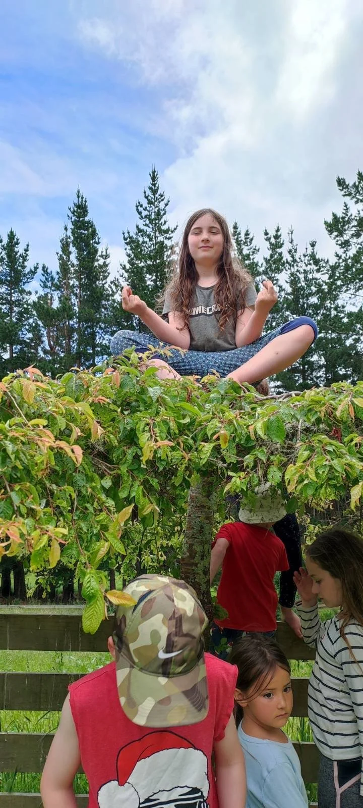 A girl sitting cross-legged on a tree branch in a meditative pose with closed eyes, surrounded by children near a wooden fence with green grass and trees in the background.