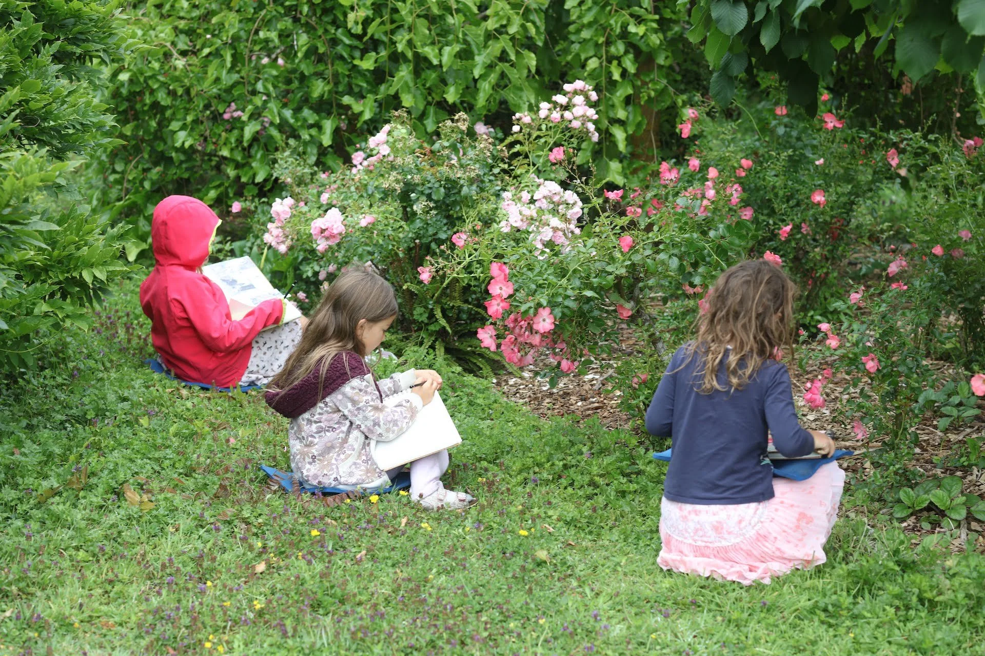 Earth School Aotearoa children practicing nature journaling in a garden with pink flowers and green foliage within Mangaroa Farms nationally ranked gardens.