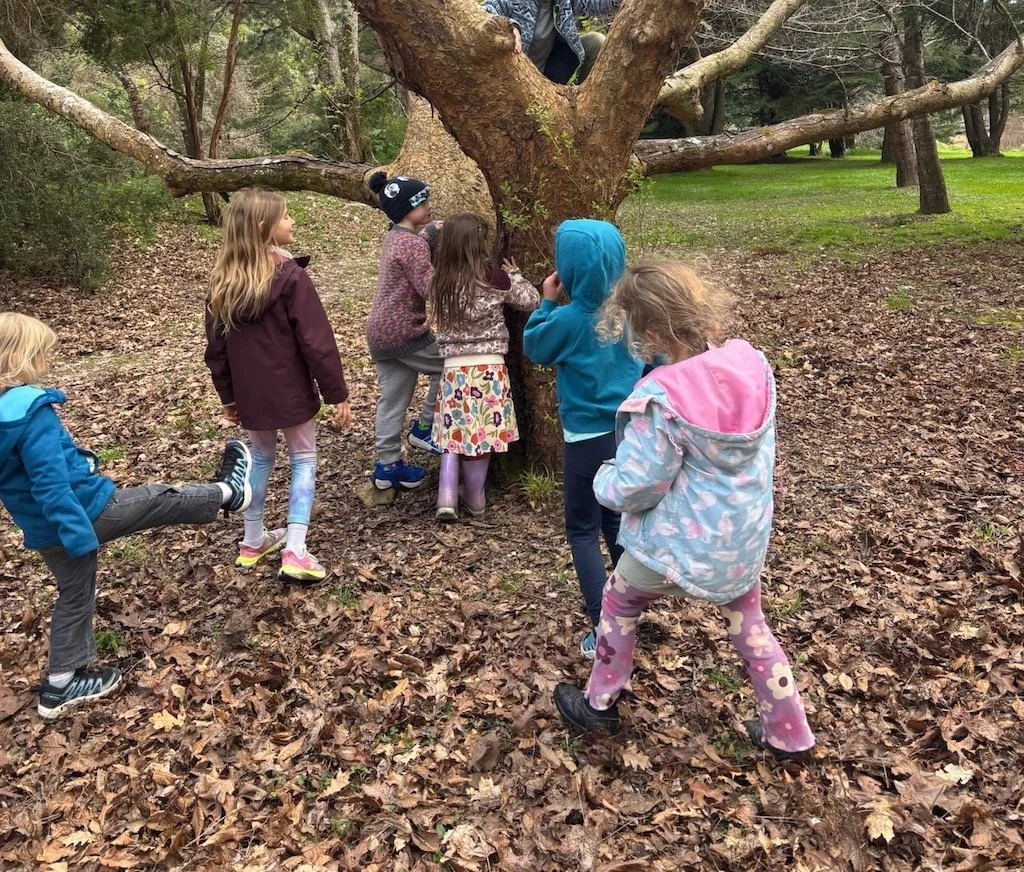 A Seasonal Rhythm of Learning for Homeschoolers in Aotearoa