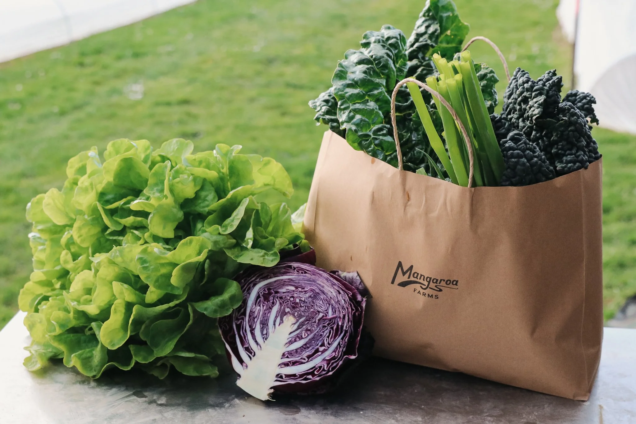 Fresh green lettuce, a purple cabbage cut in half, and a paper bag filled with leafy greens and vegetables from Mangaroa Farms Market Garden on a table outdoors.