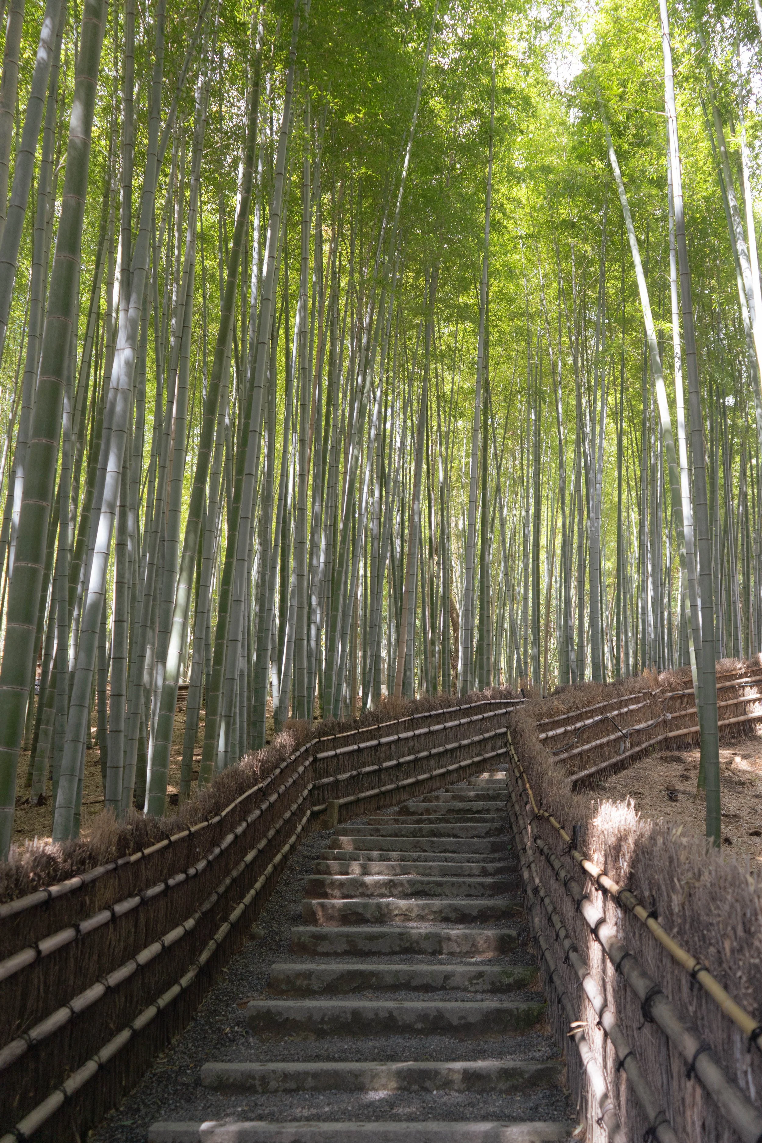 Travel-14.jpg