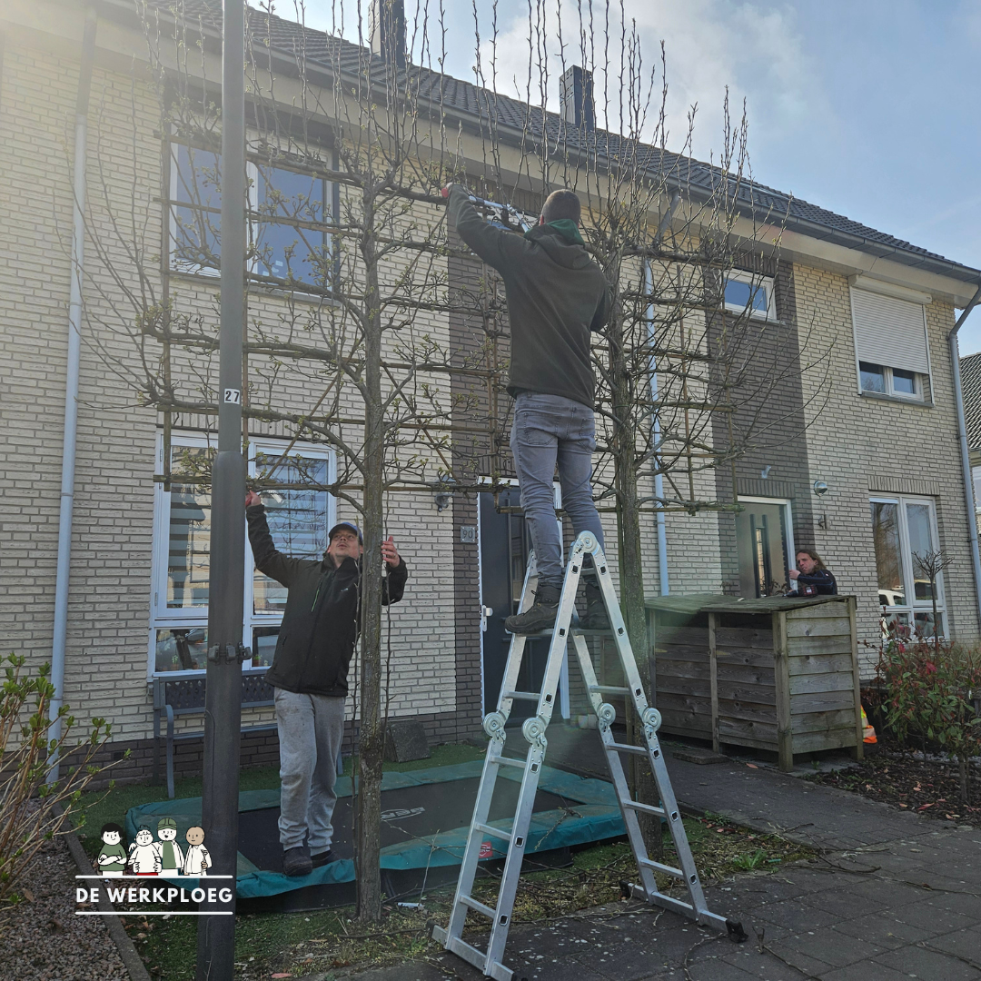 Leihaag snoeien en houtwerk herstellen - De Werkploeg Altena.png
