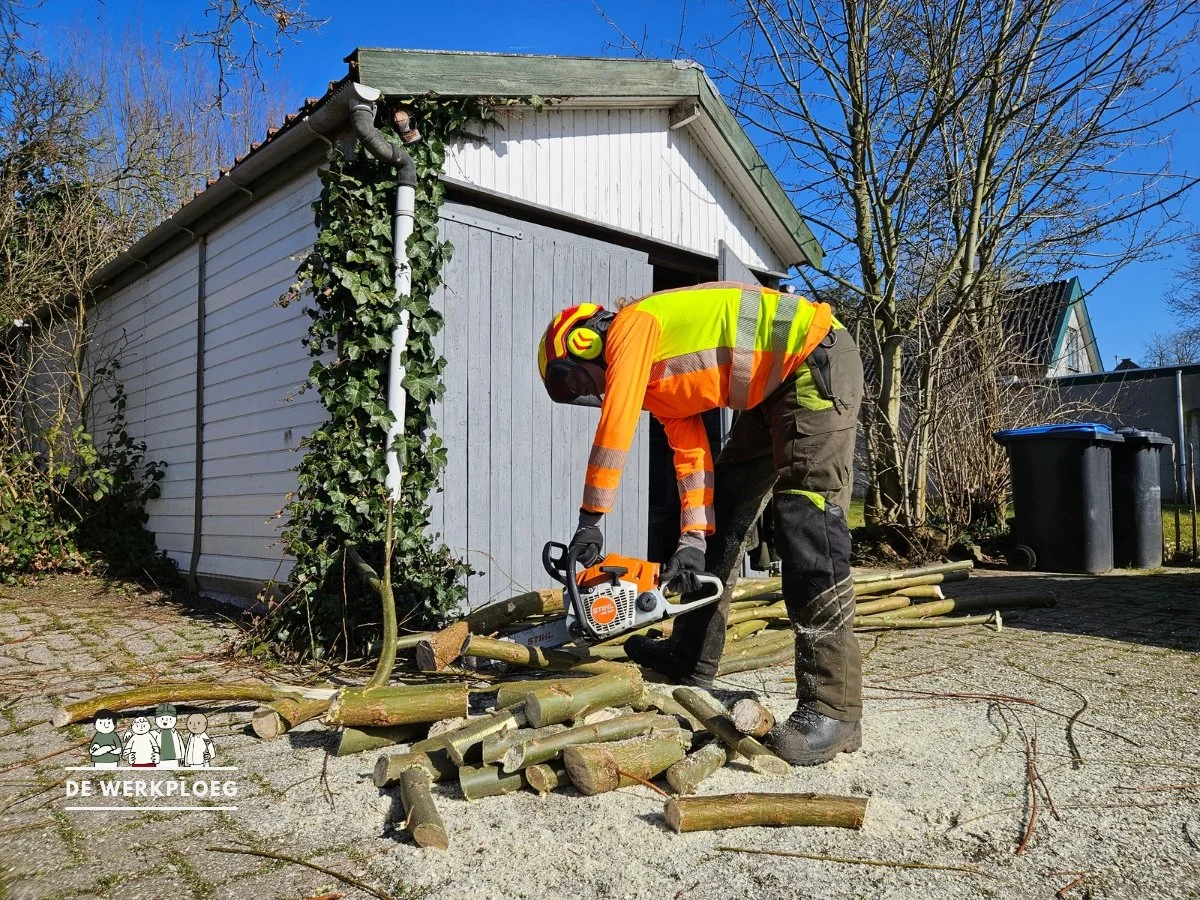 Boomtakken zagen tot haardhout - De Werkploeg Altena.jpg