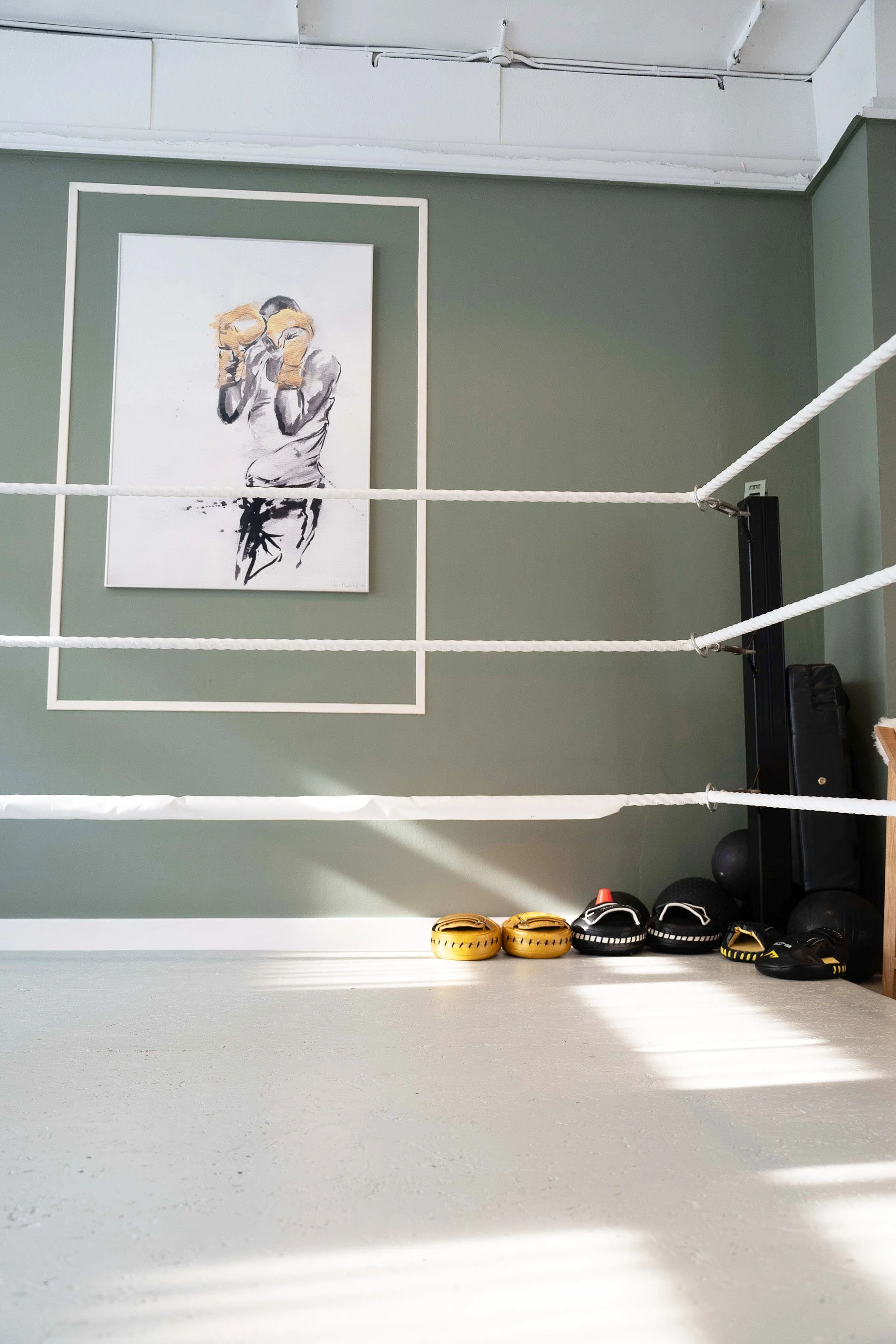 Inside a boxing gym with a boxing ring, boxing gloves, and medicine balls on the floor. There is a framed art piece on the wall depicting a boxer with gloves.
