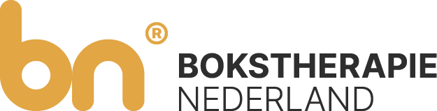 Bokstherapie Nederland - Verbinding maken door te boksen