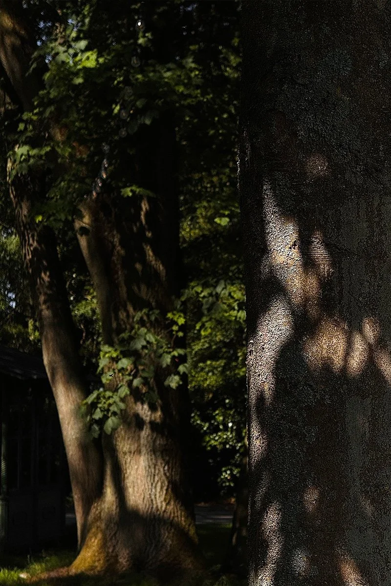 Lily Marino Nature.jpg