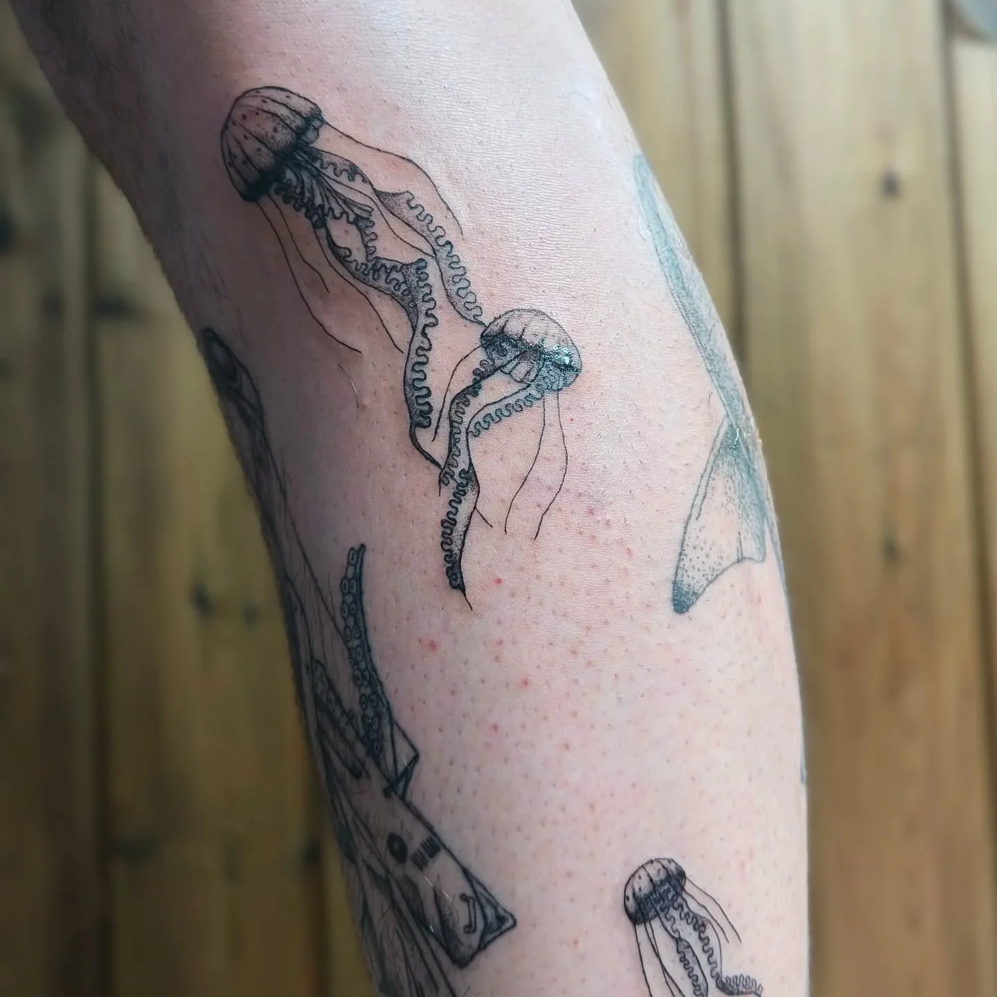 Jellyfish dance 🪼🪼🪼
*
*
*
#jellyfishtattoo #kwaltattoo #finelinetattoo #fineline #zeetattoo #tattooocean #tattoobelgi&euml; #tattoobelgique #tattooleuven #tattoolimburg #tattoobrabantwallon #tattoobruxelles #tattoohannut #tattoolanden #tattoosintt