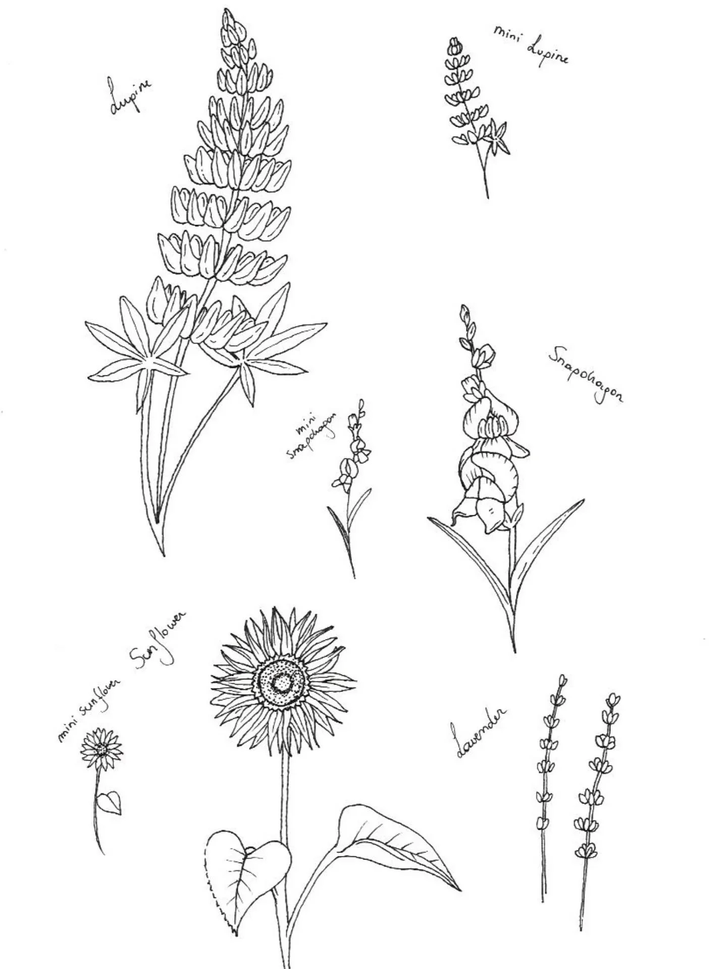 Flower tattoo flash. Maxi and mini versions of them and a whole page dedicated to the queen of the flowers: the rose 🌹
*
*
*
#finelineflowertattoo #finelinetattoo #rosetattoo #minimatattoo #bruxellestatouage