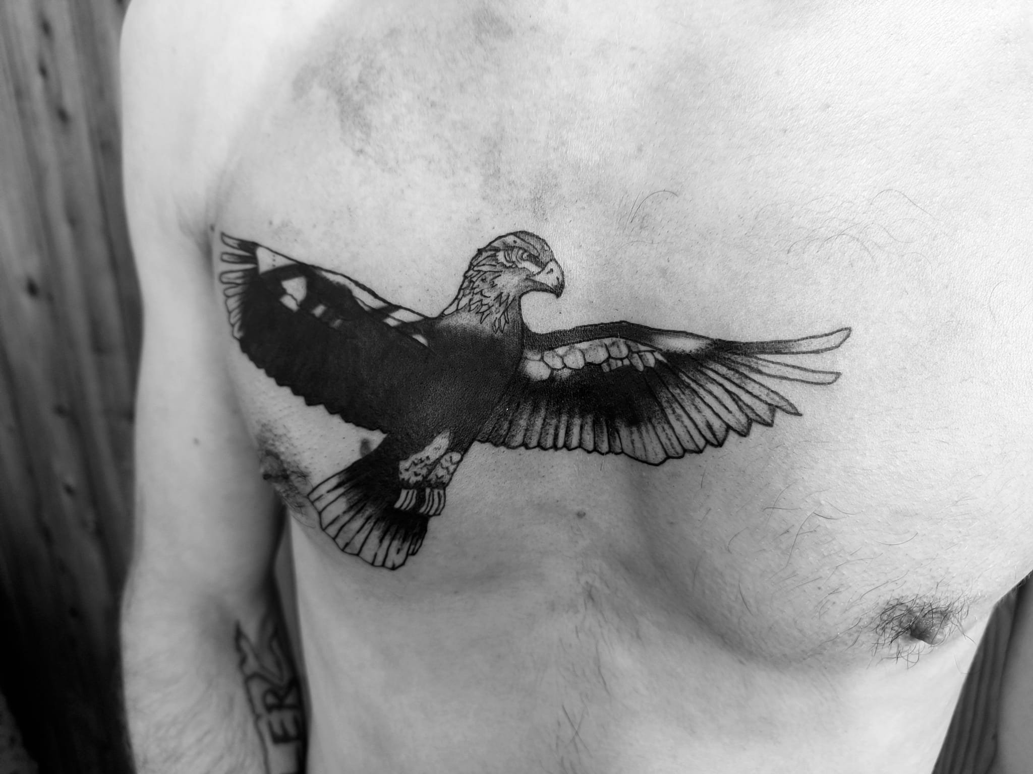 Fineline coverup tattoo eagle nessietattoo 