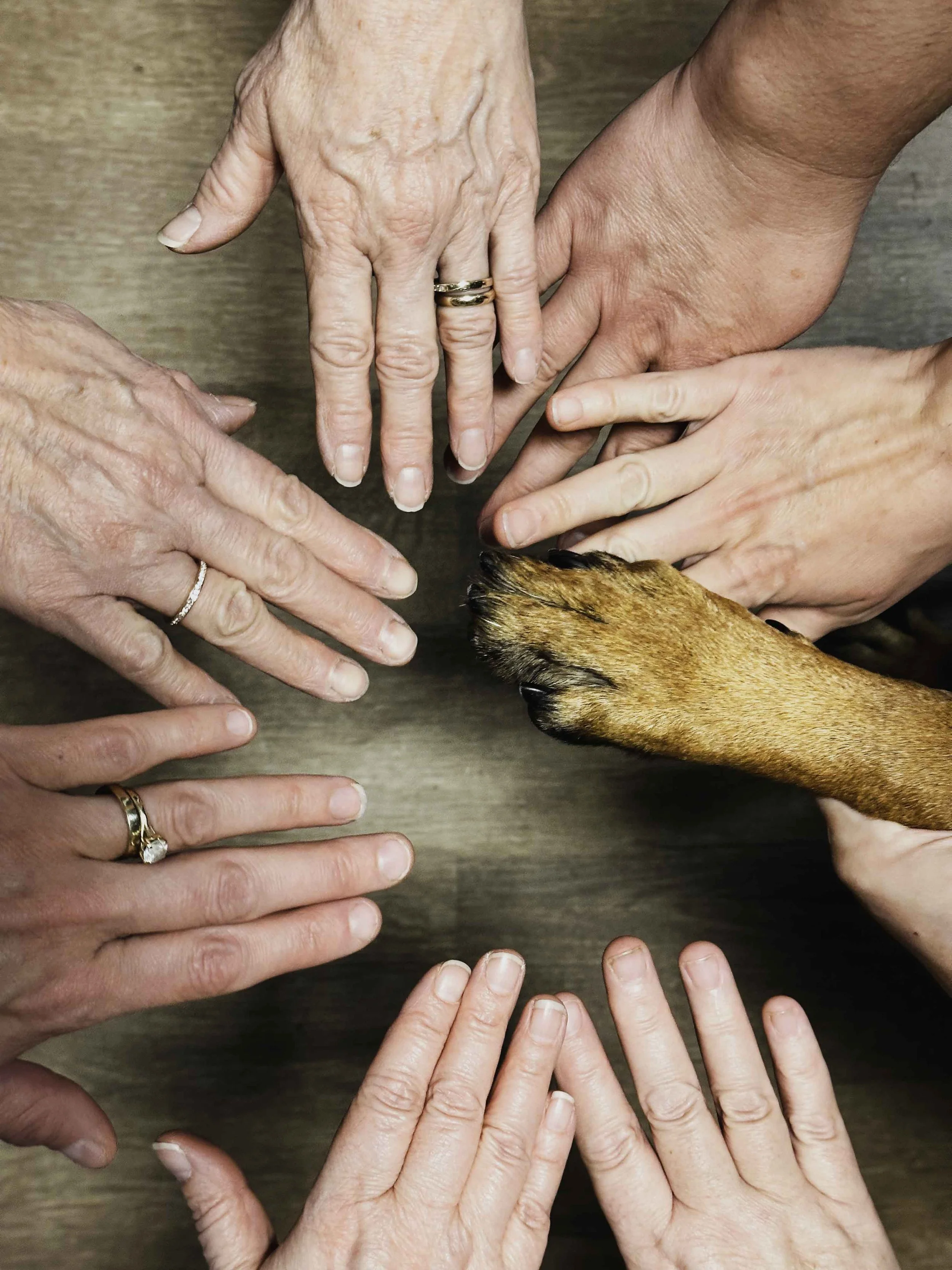 Women’s Bible Study