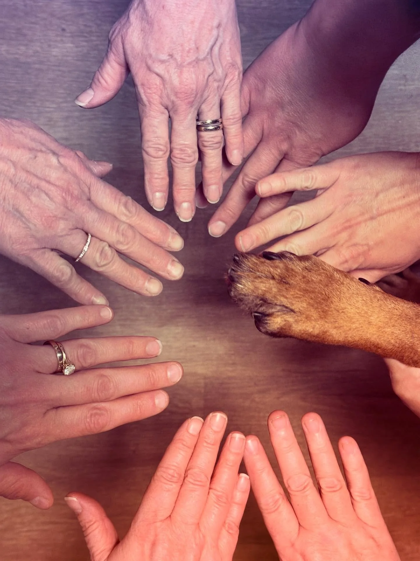 Life is better together! 

We have a women&rsquo;s Bible study and group on Tuesday nights at 6:30 pm right in the heart of East Aurora! We start up again Jan 6th. Come out! - make friends, learn, talk, listen, eat ❤️