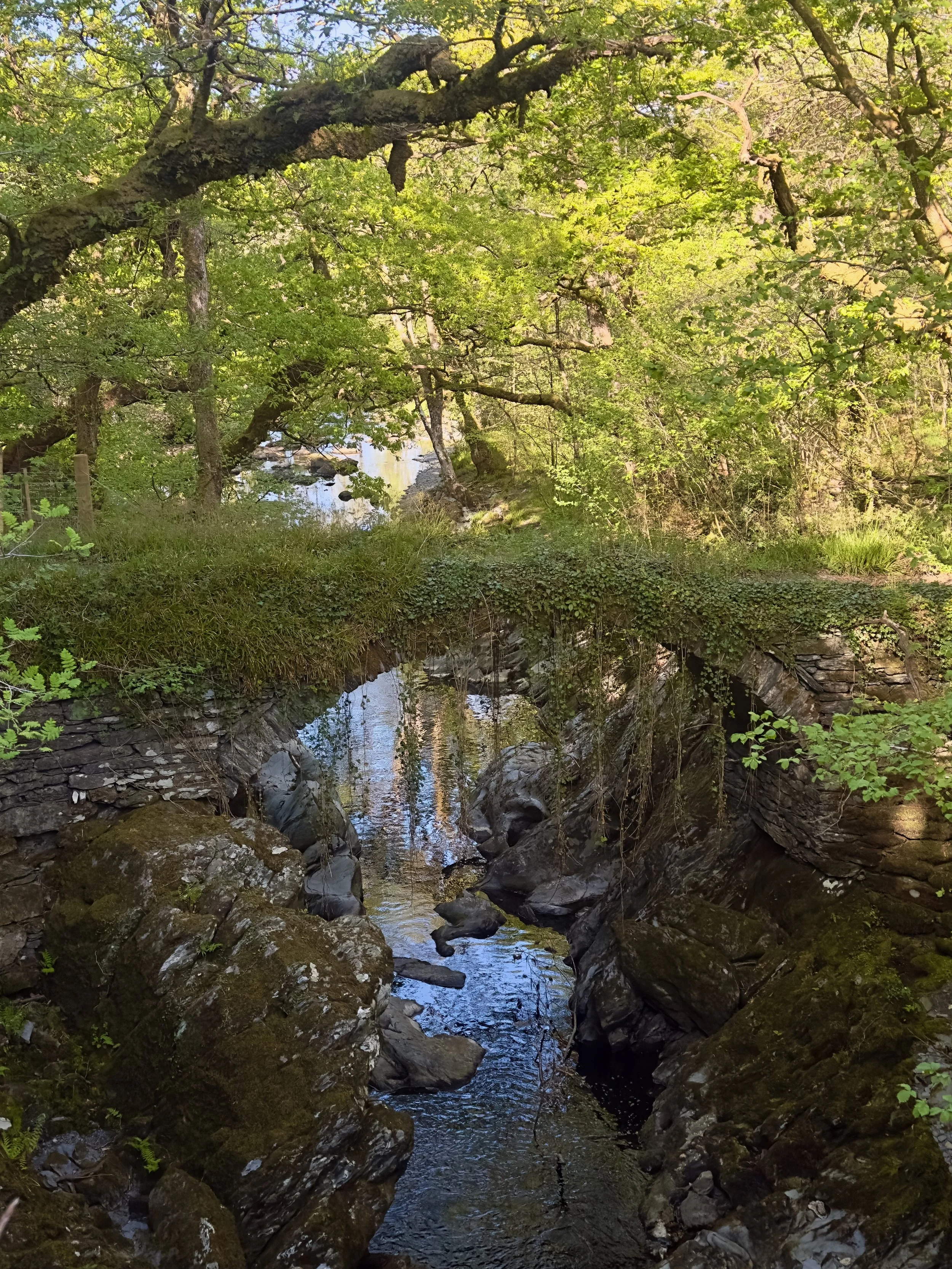 IMG_1116.jpeg