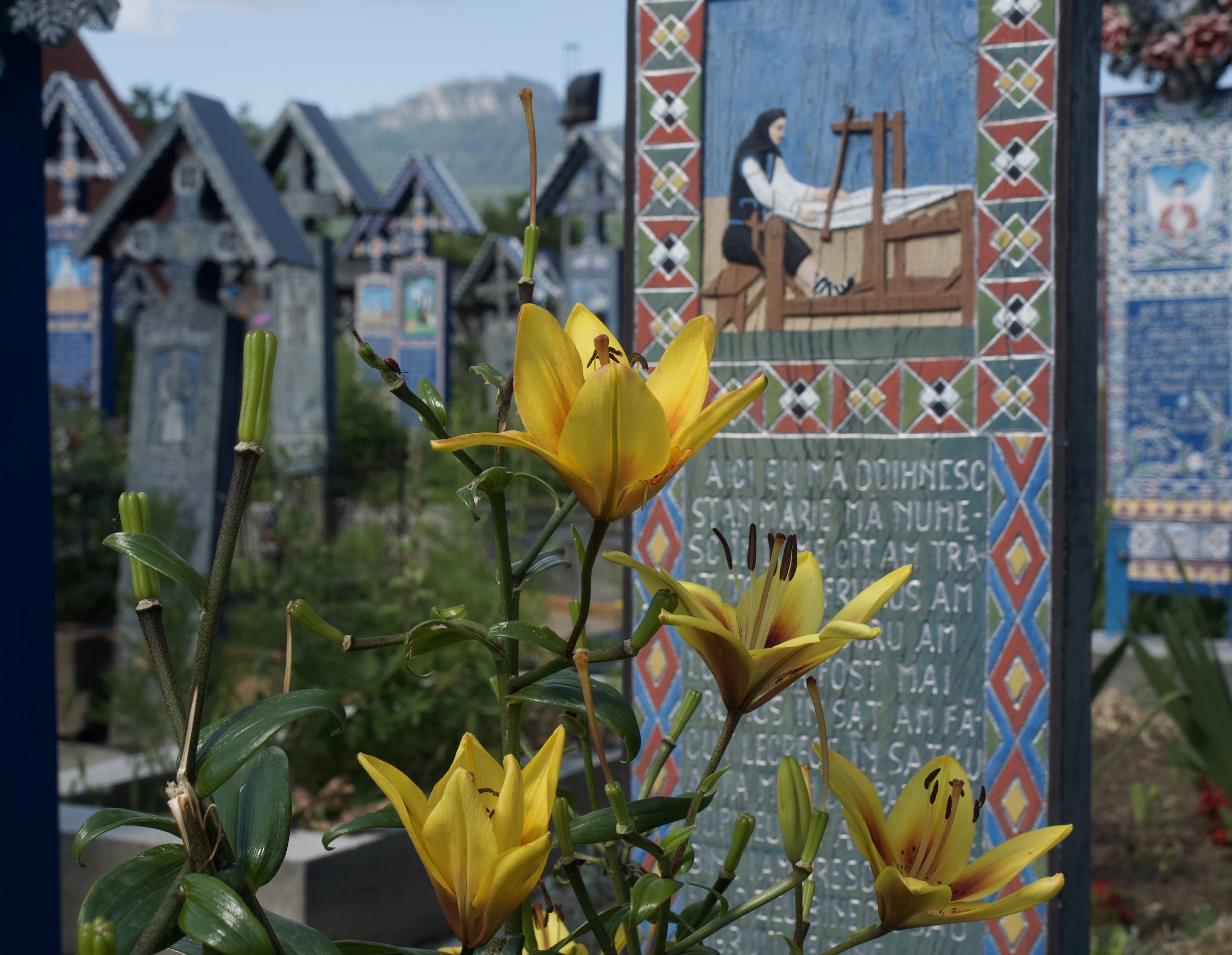 Captura de pantalla 2025-12-09 a las 14.01.45.png