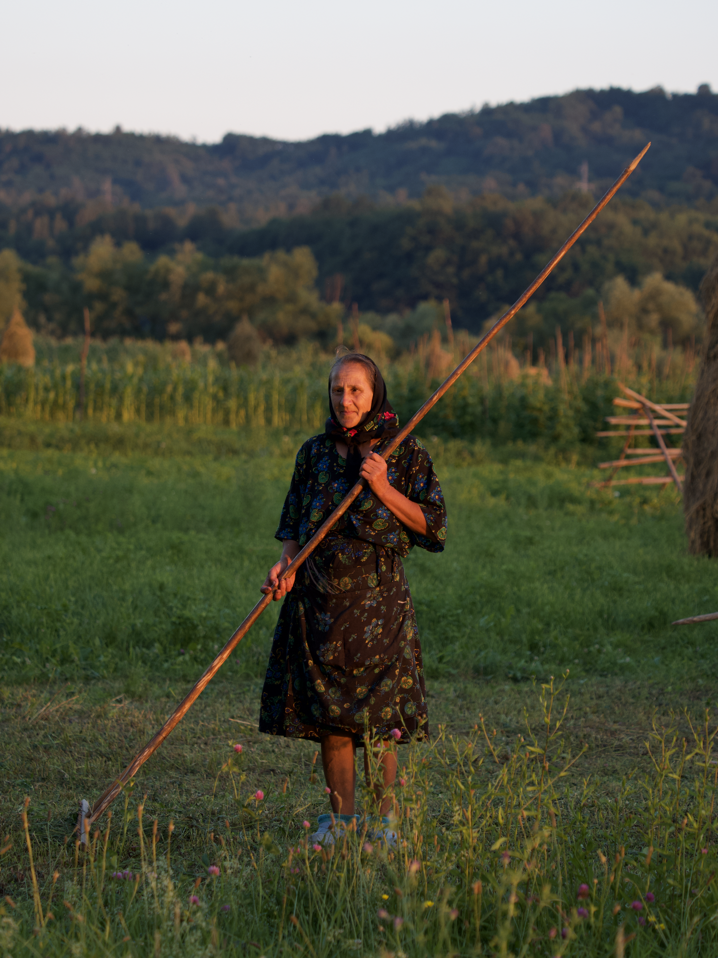 Captura de pantalla 2025-12-09 a las 14.09.18.png