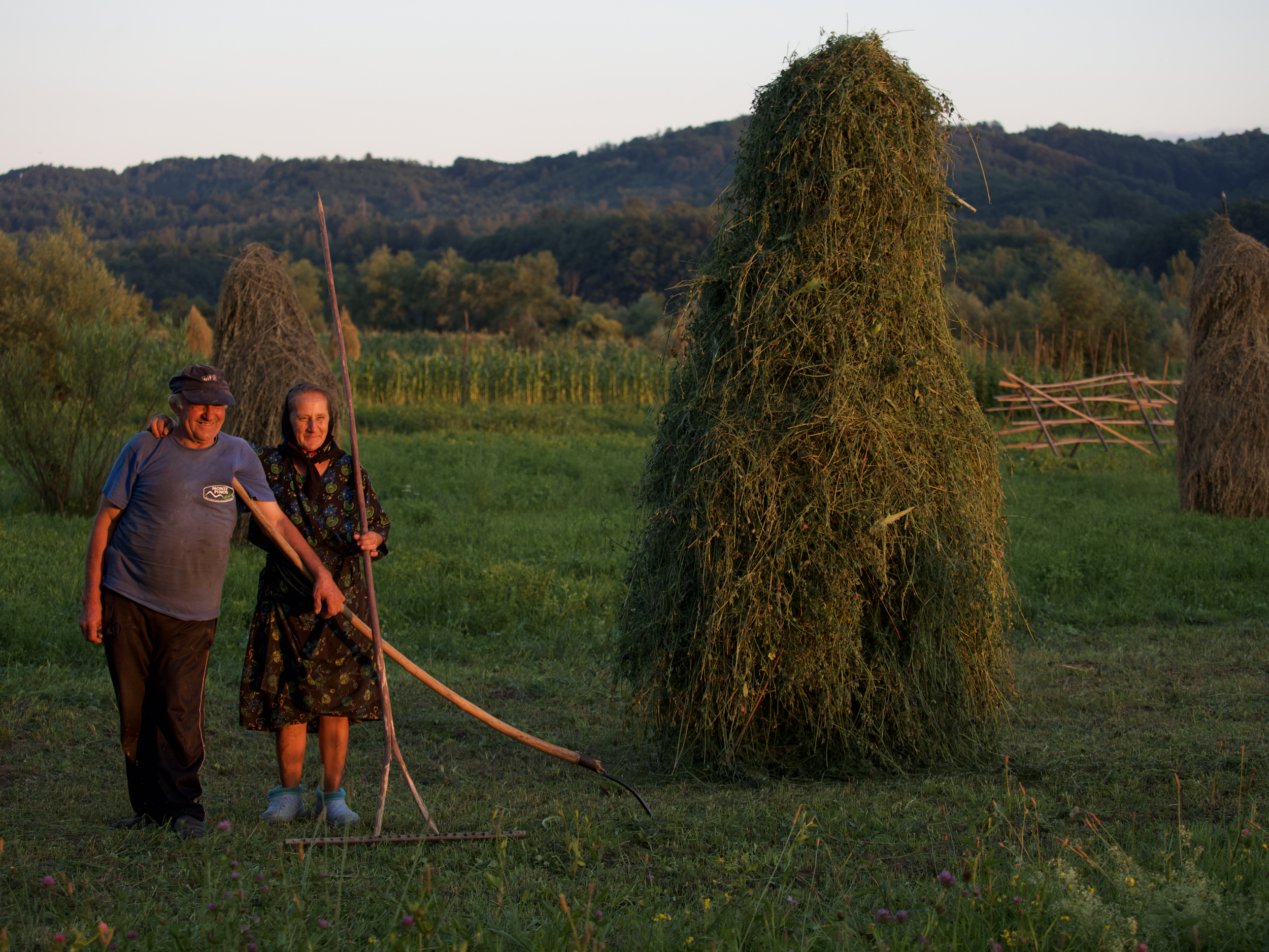 Captura de pantalla 2025-12-09 a las 14.07.38.png